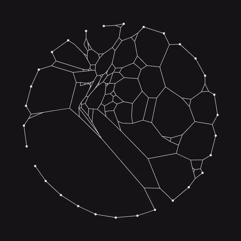 Elastic Web #260