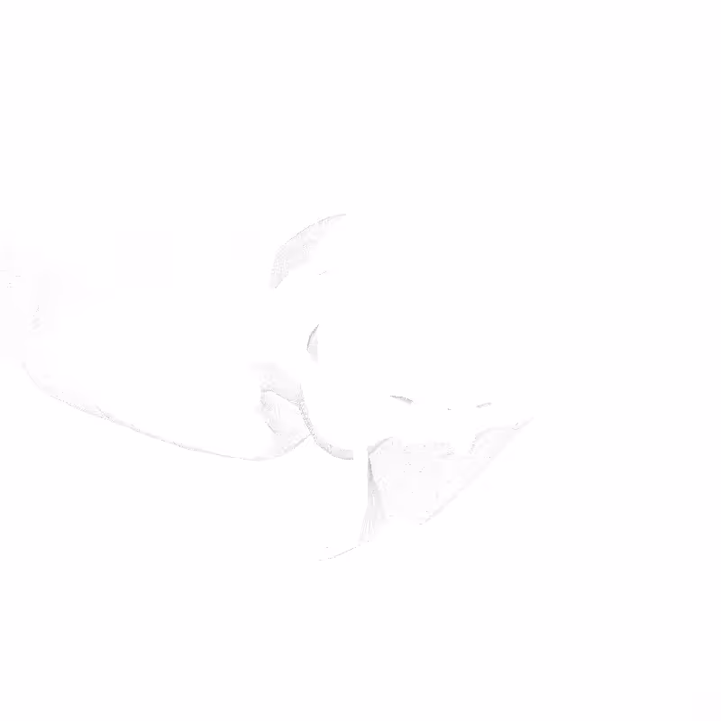 traces #46