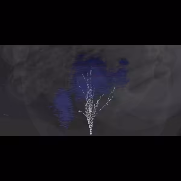 abhāva #52
