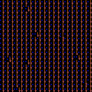 CGA Safari #242