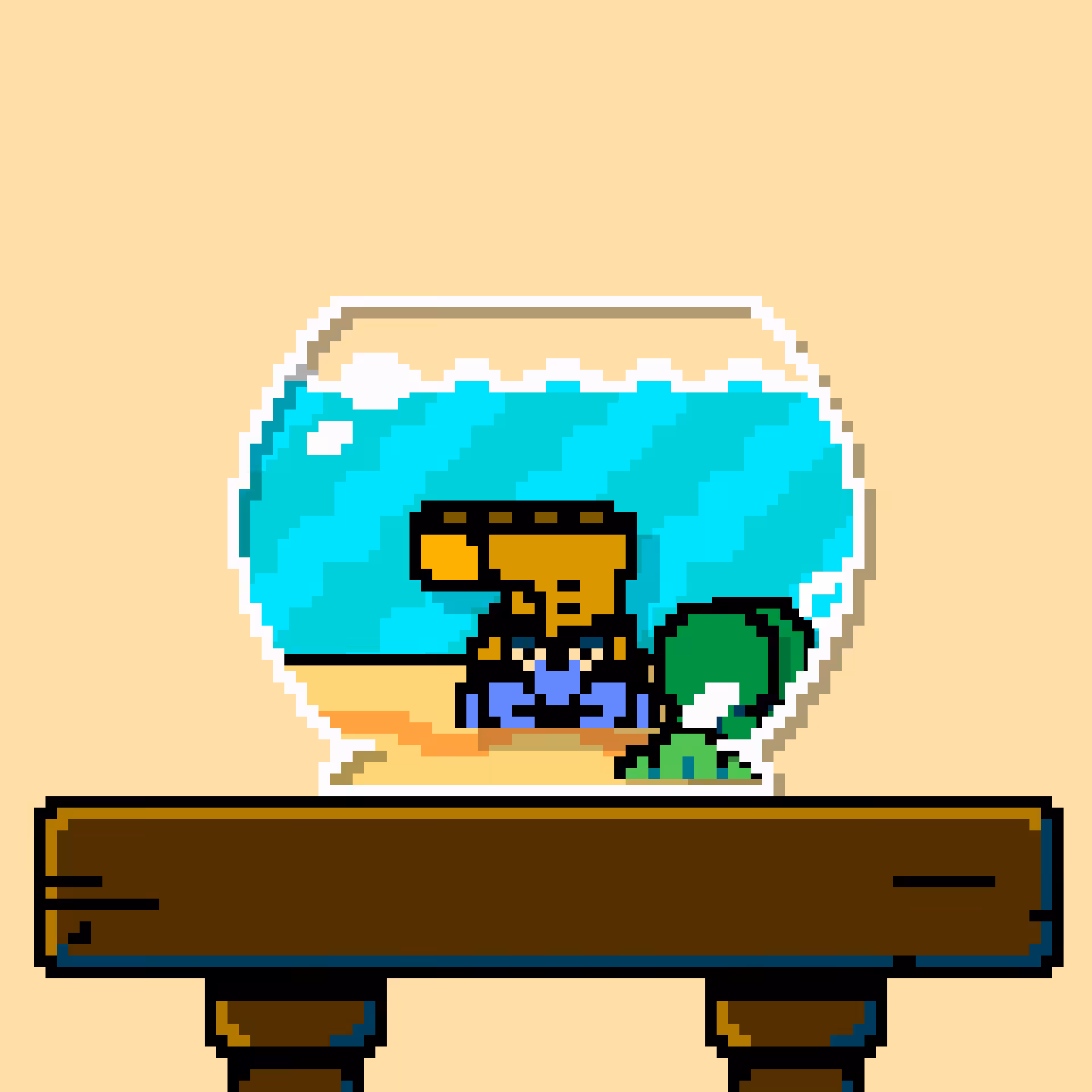 hermit crab #63