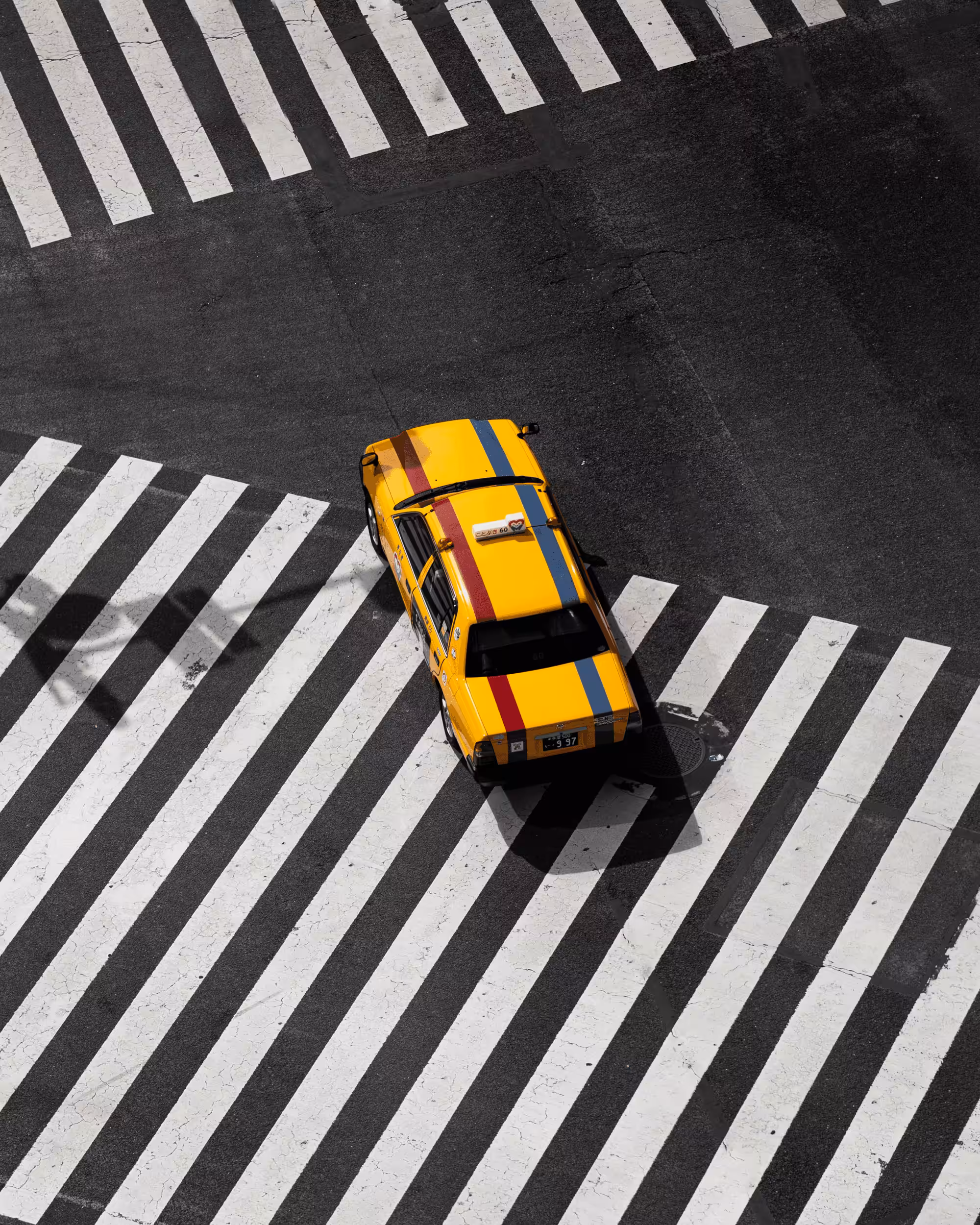 The Crossing #16