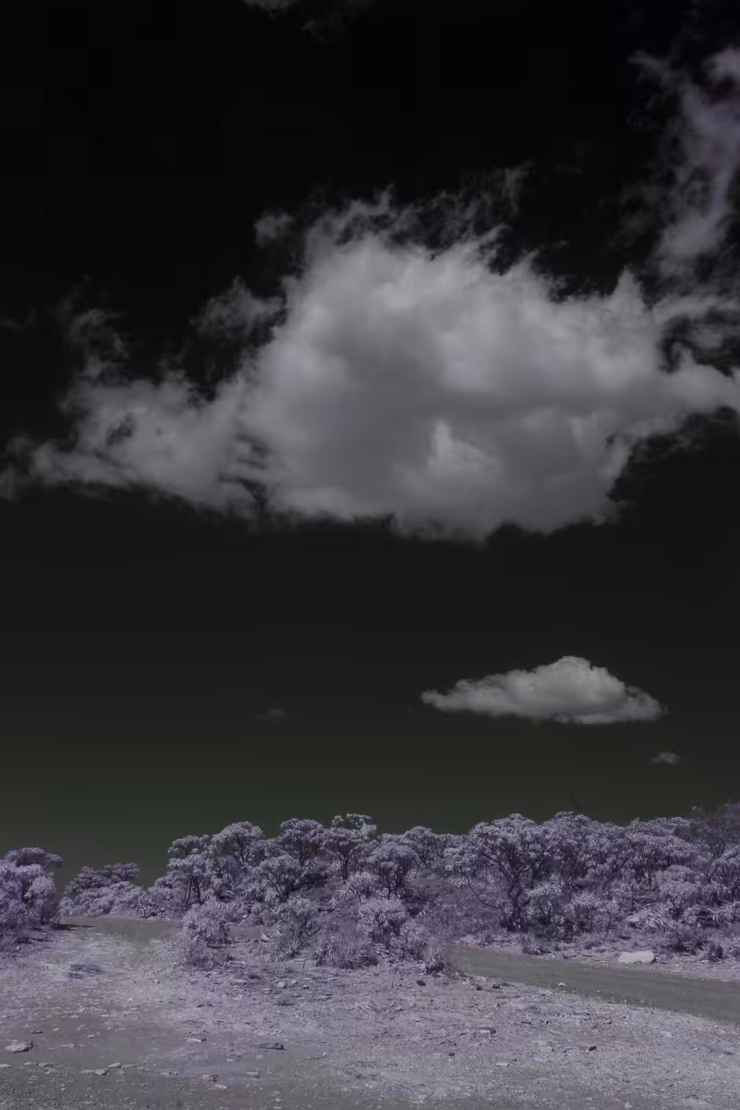 Infrared_MG_1