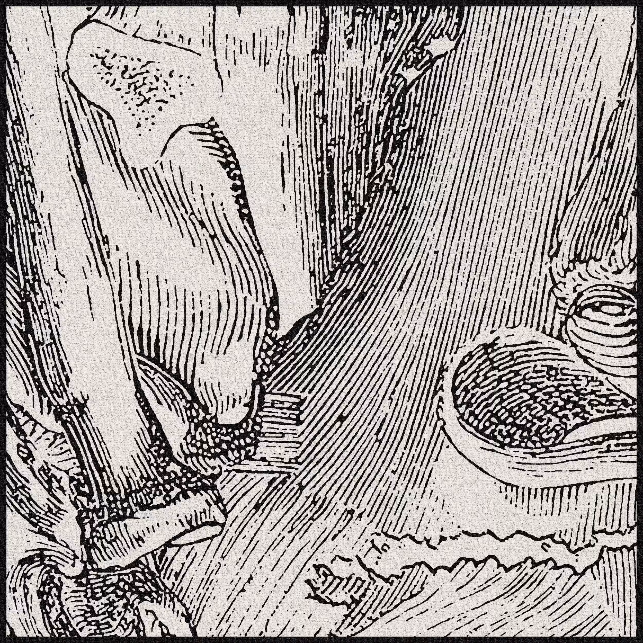 Diagenesis [5/12]