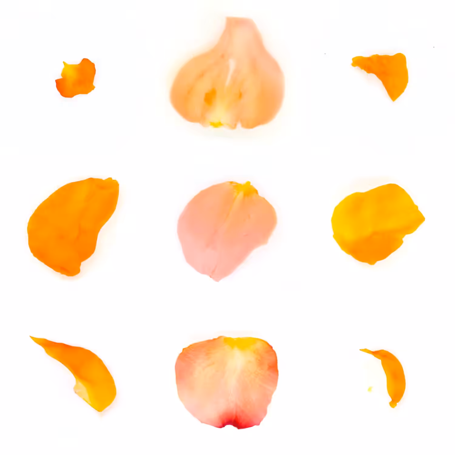 Infinite Petals 3x3#3725