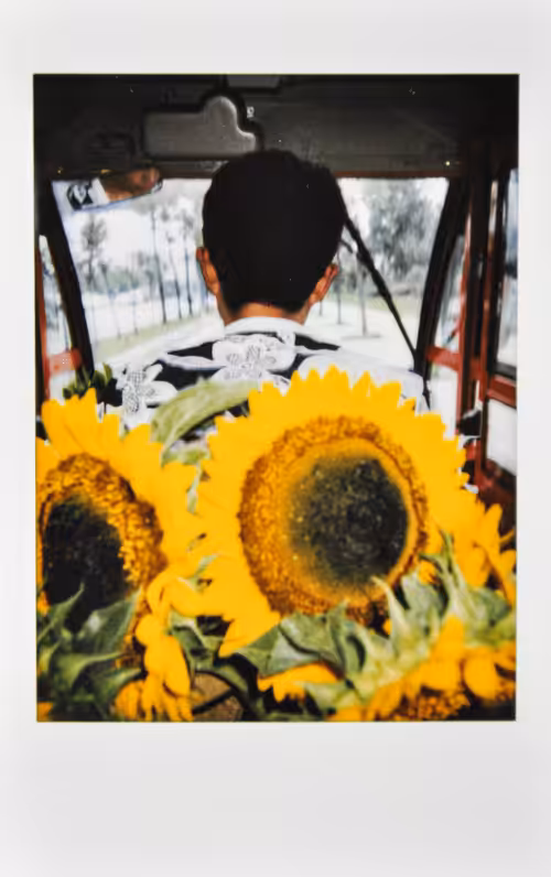 Polaroids from China #34
