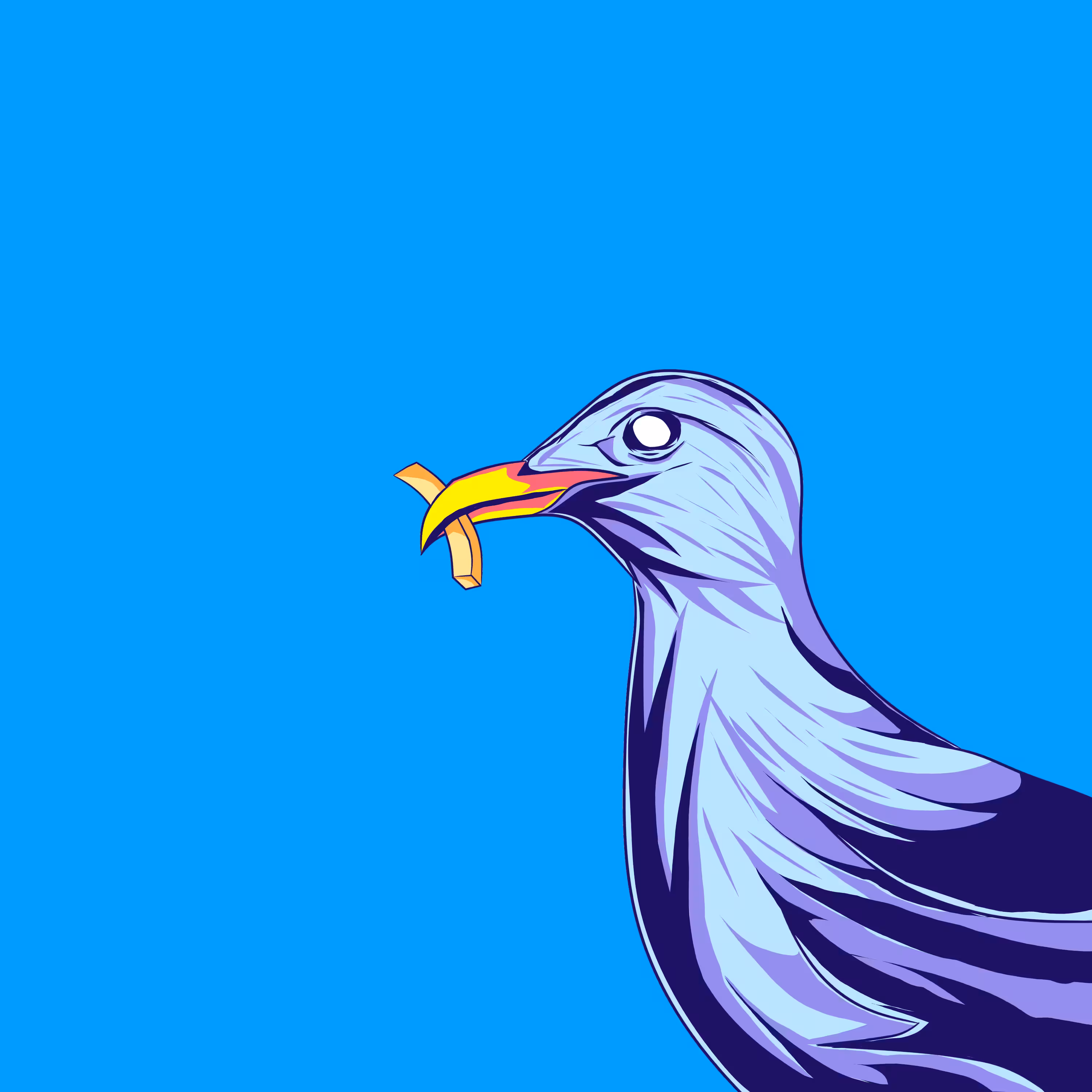 #22 Foodie Seagull