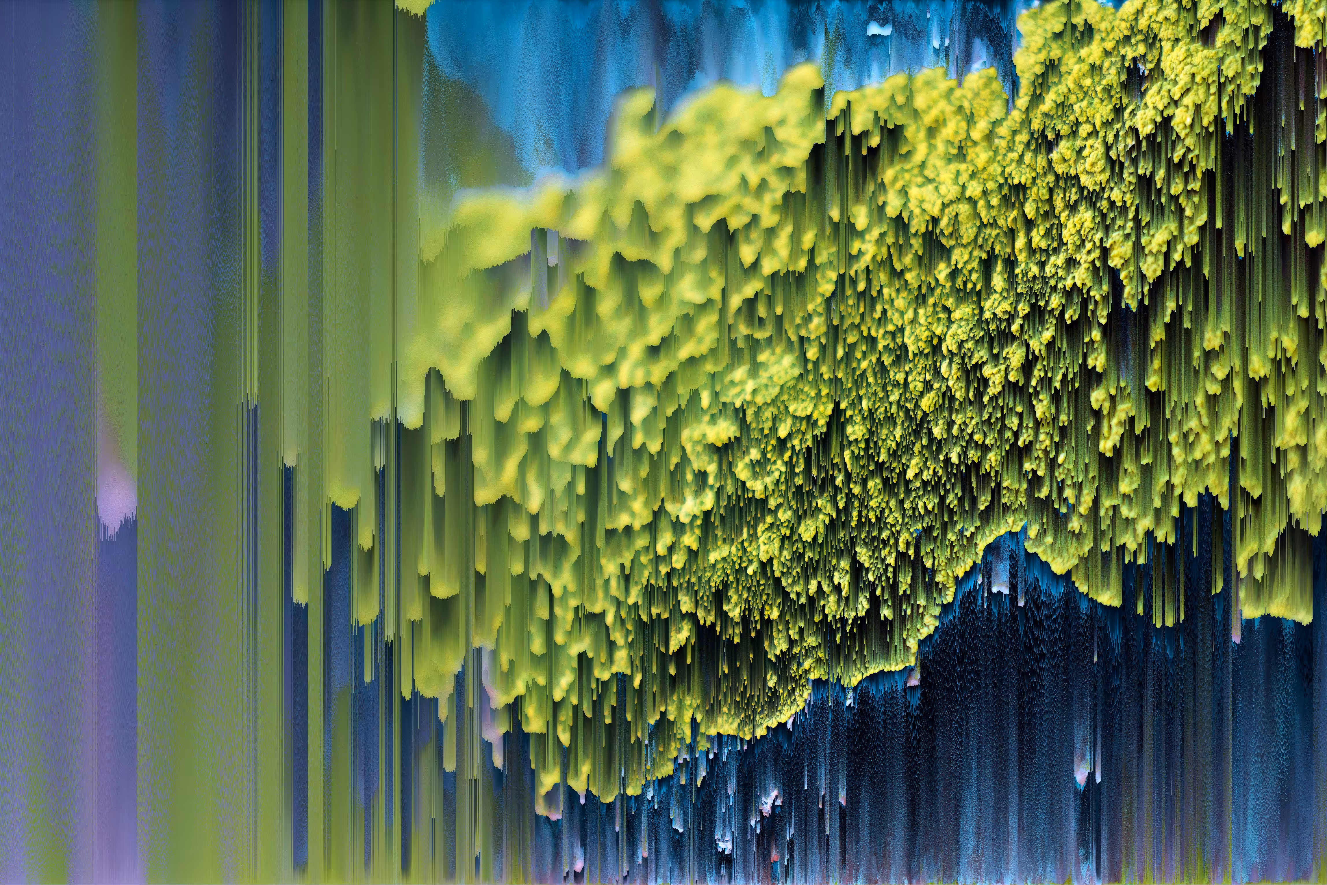 Lichen ///