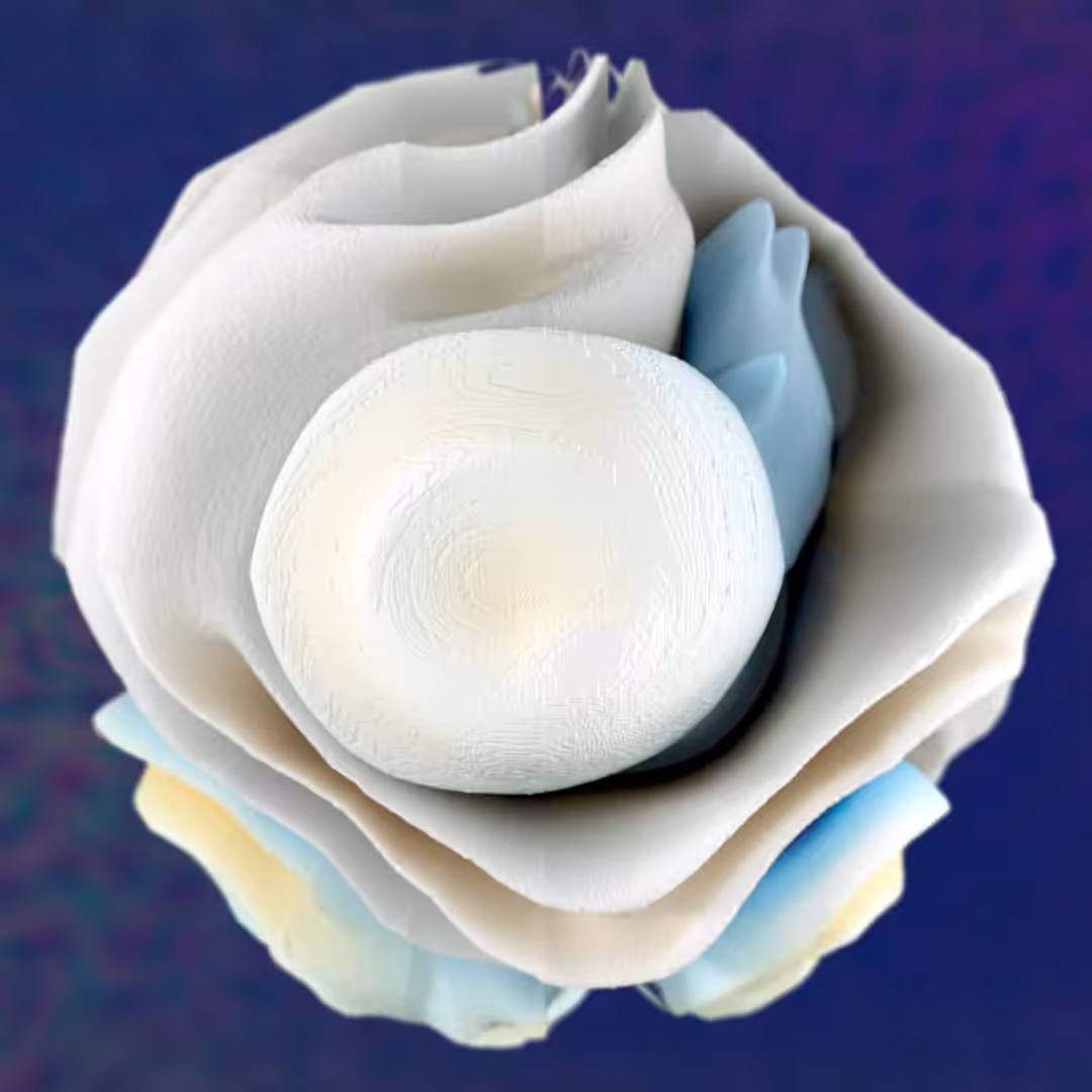 Blossöm