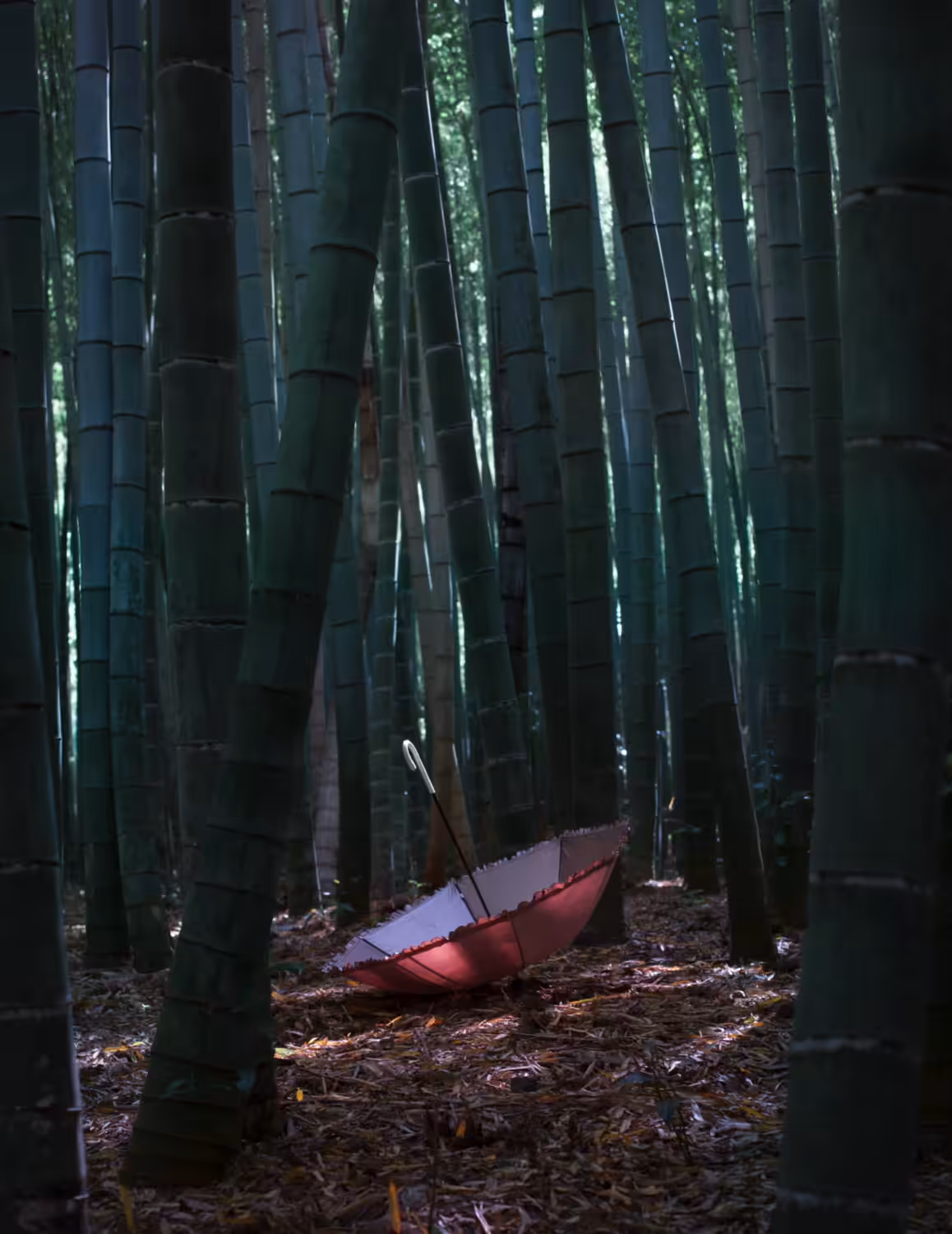 MORI 森.