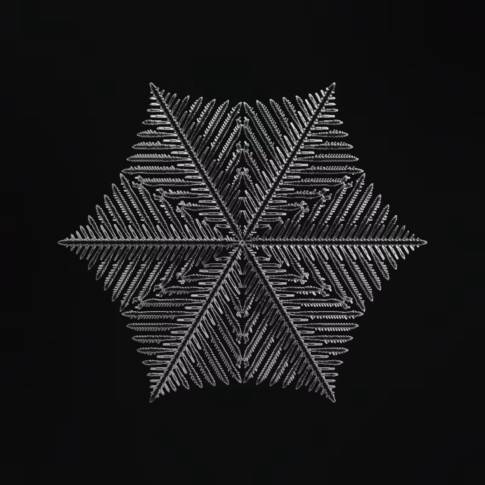 Symmetry and Intricacy #11