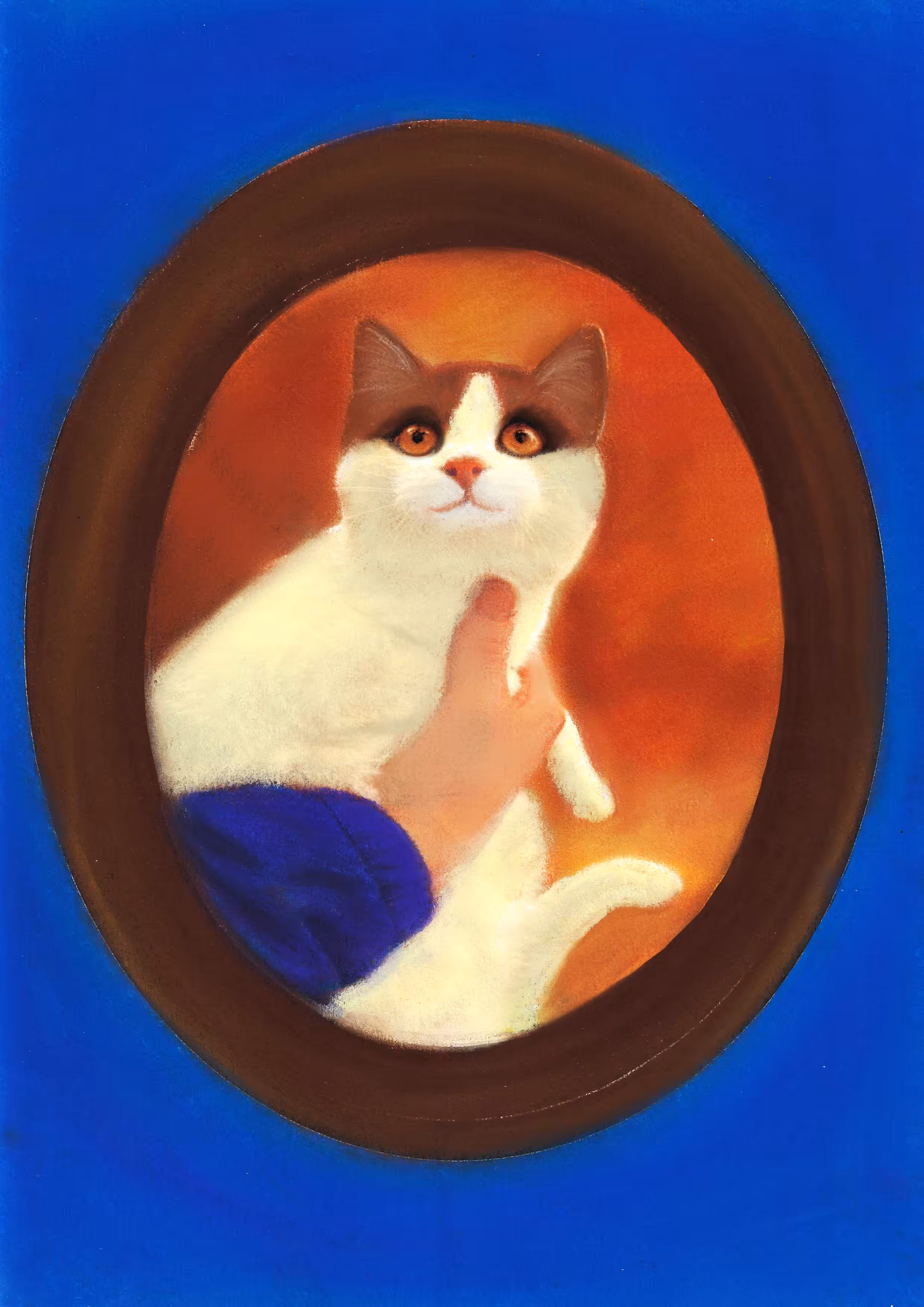 Adopted cat 