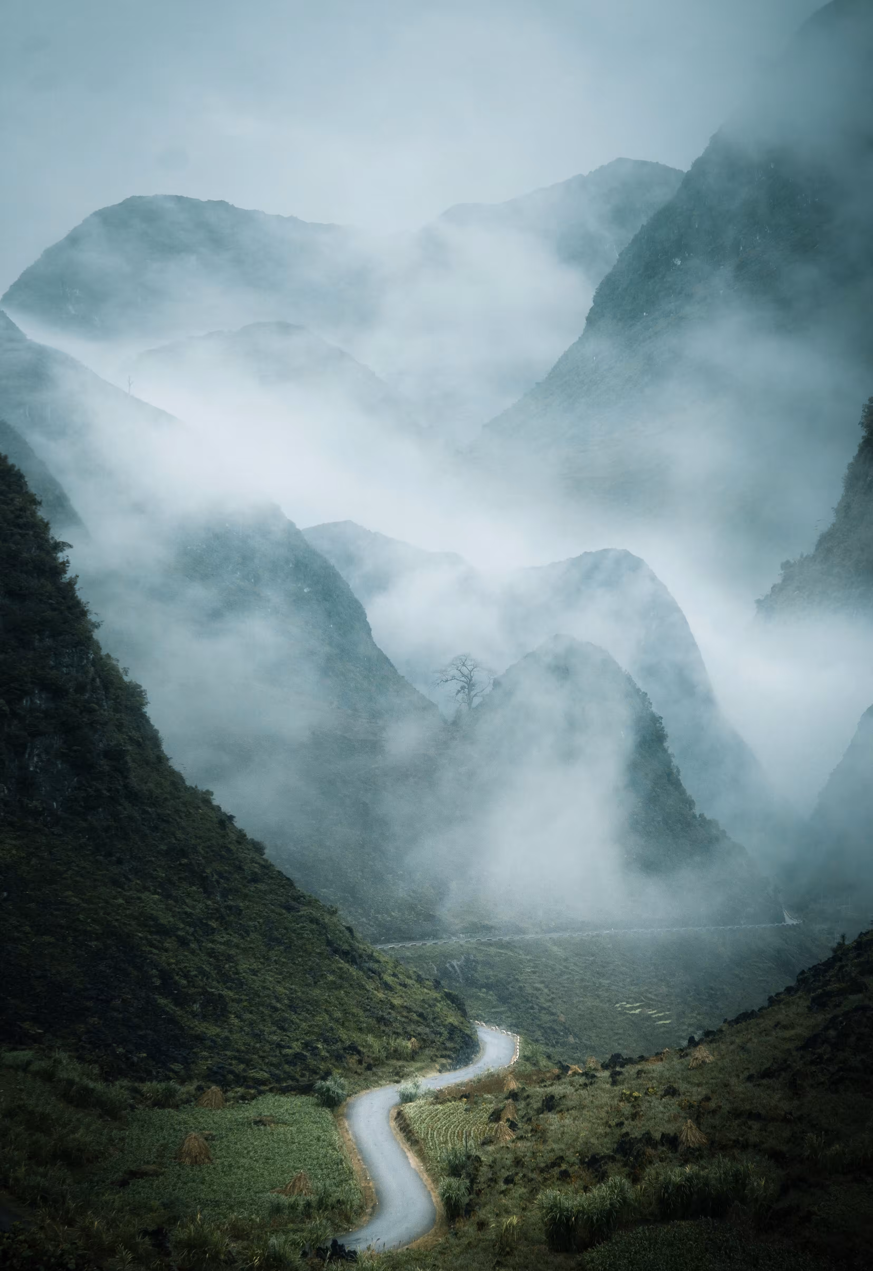 9 - Between the Mist