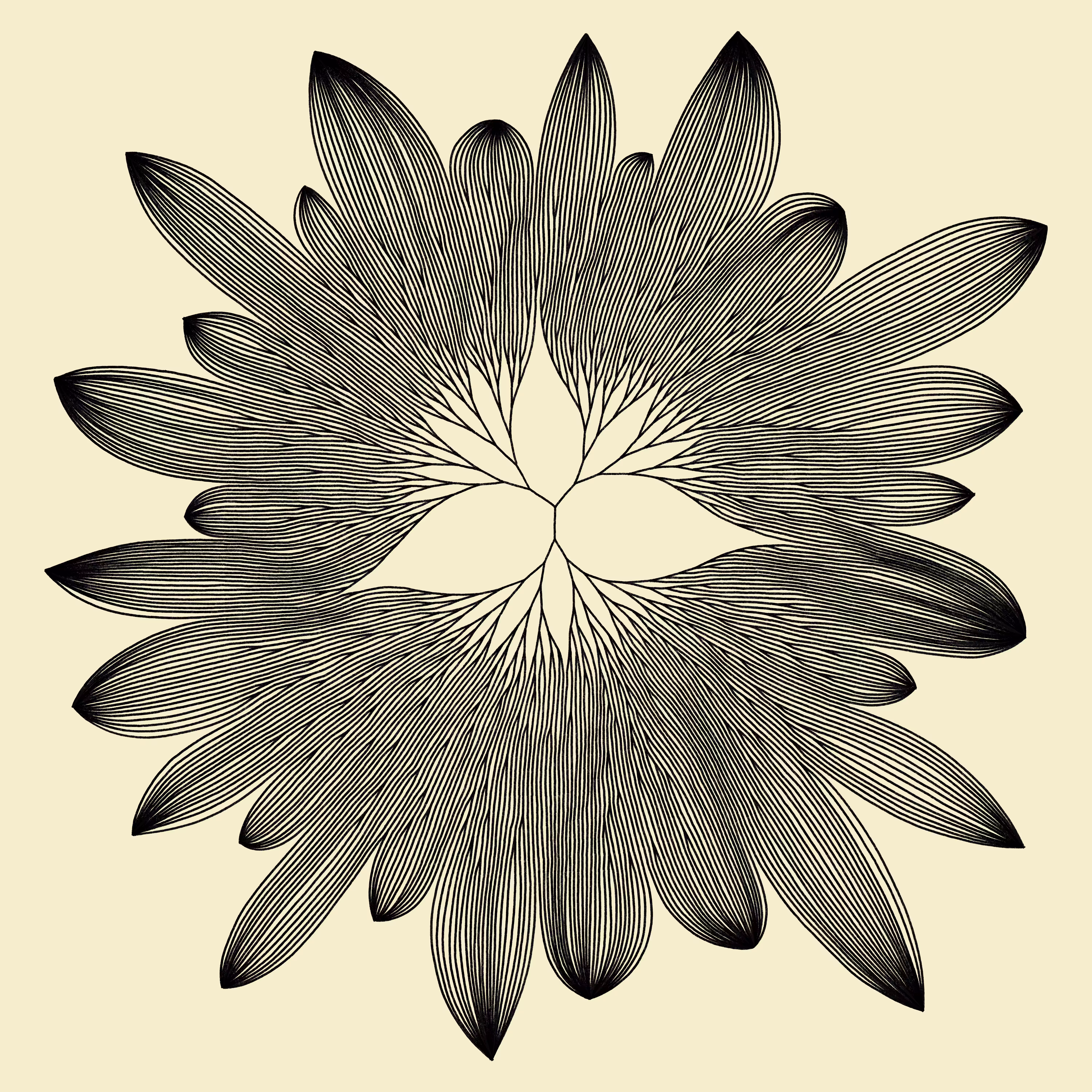 vergence 16 drawing