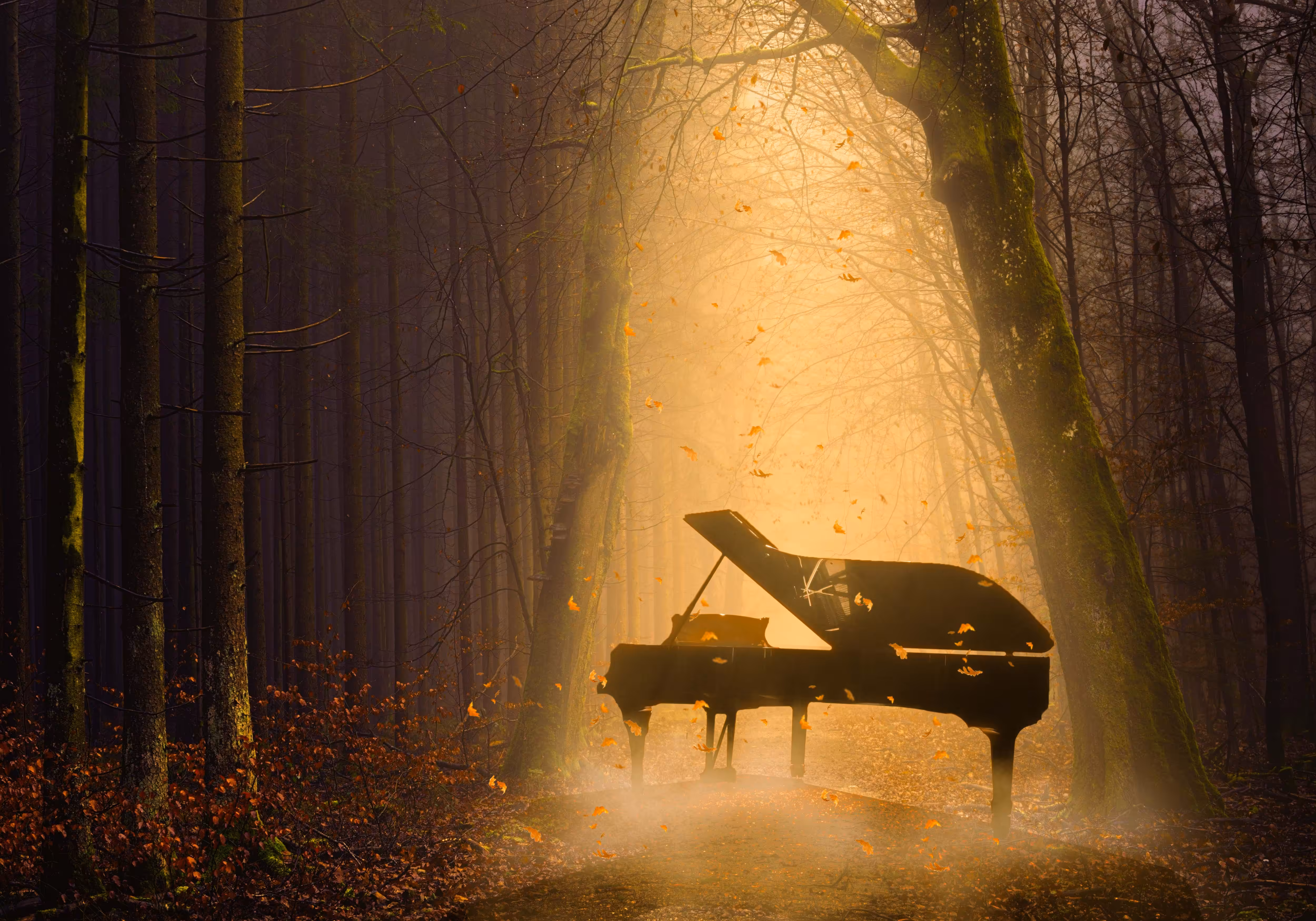 Sounds of the elements