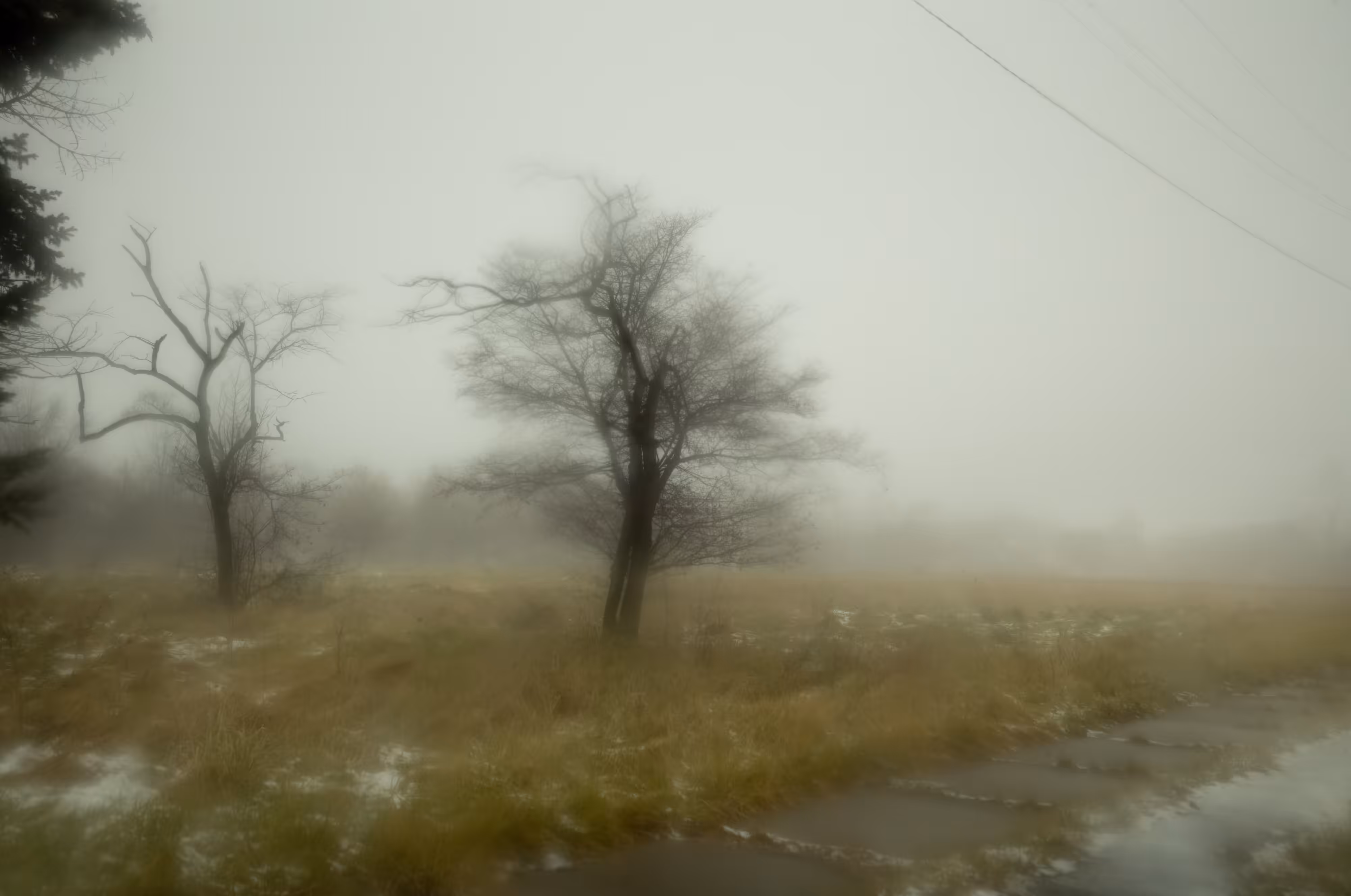 The Black Mechanism #47 (Untitled 12080-1810-2) by Todd Hido