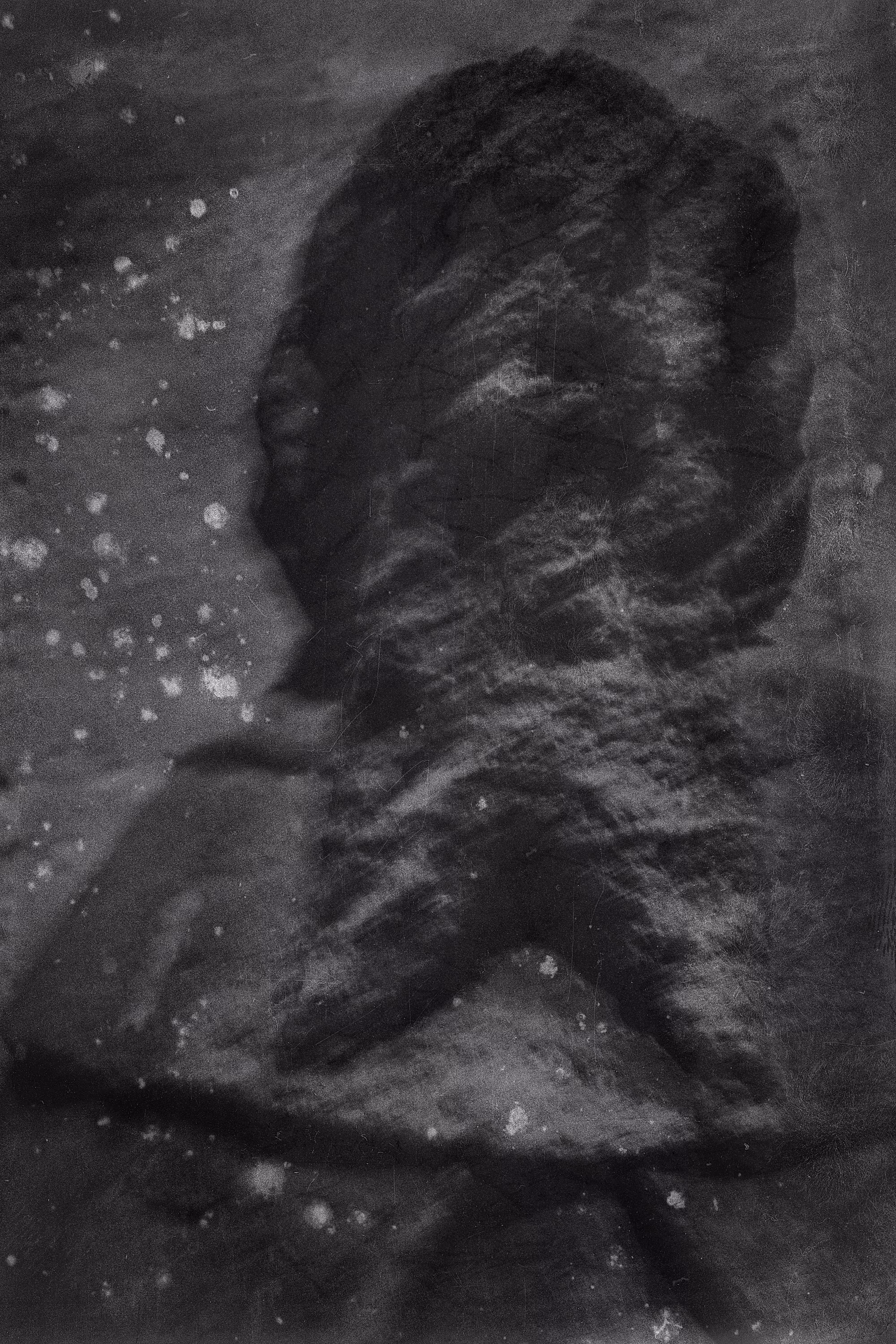 Effigy IV (Asleep)