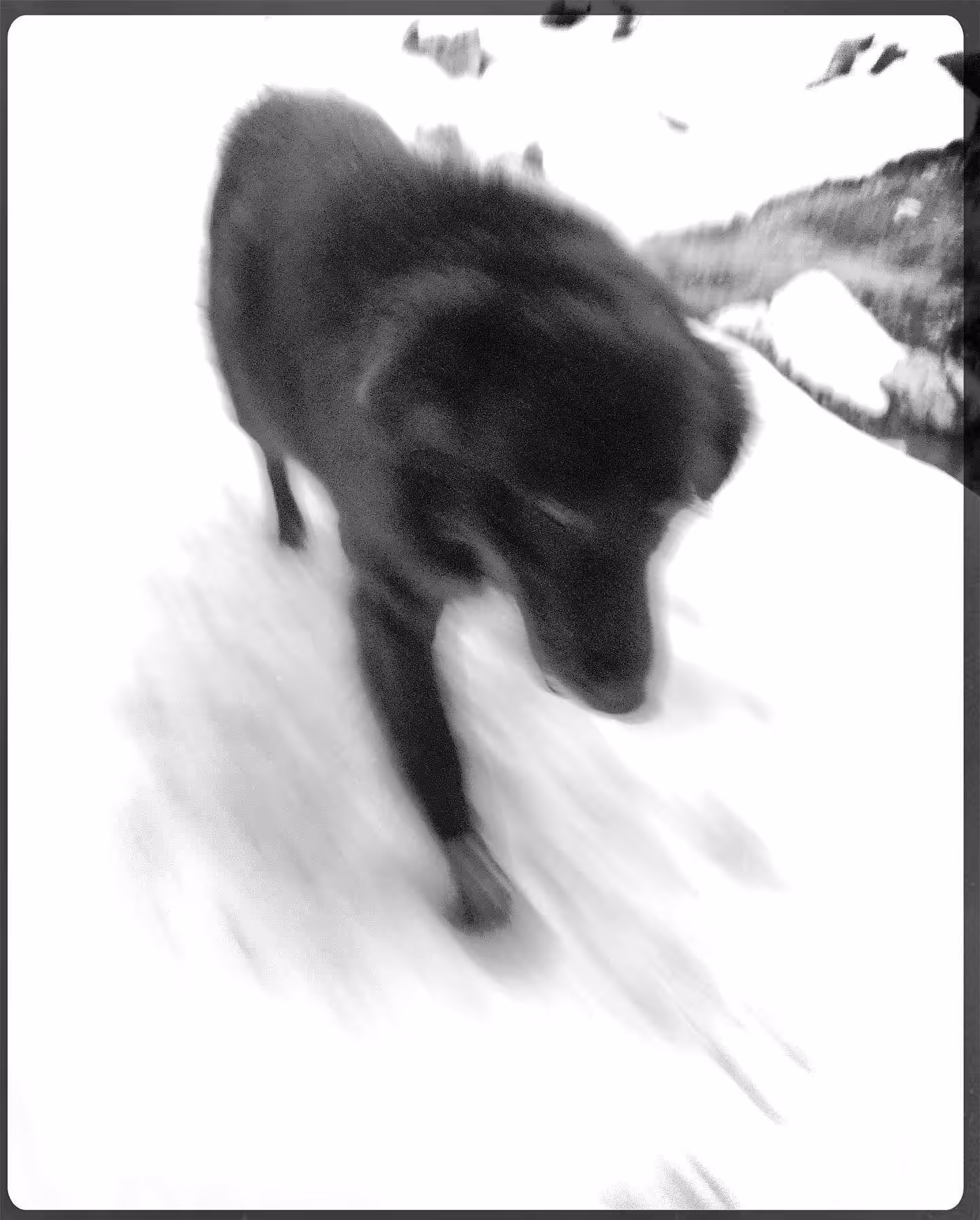 Ｃｏｌｄ  Ｒｕｓｈ