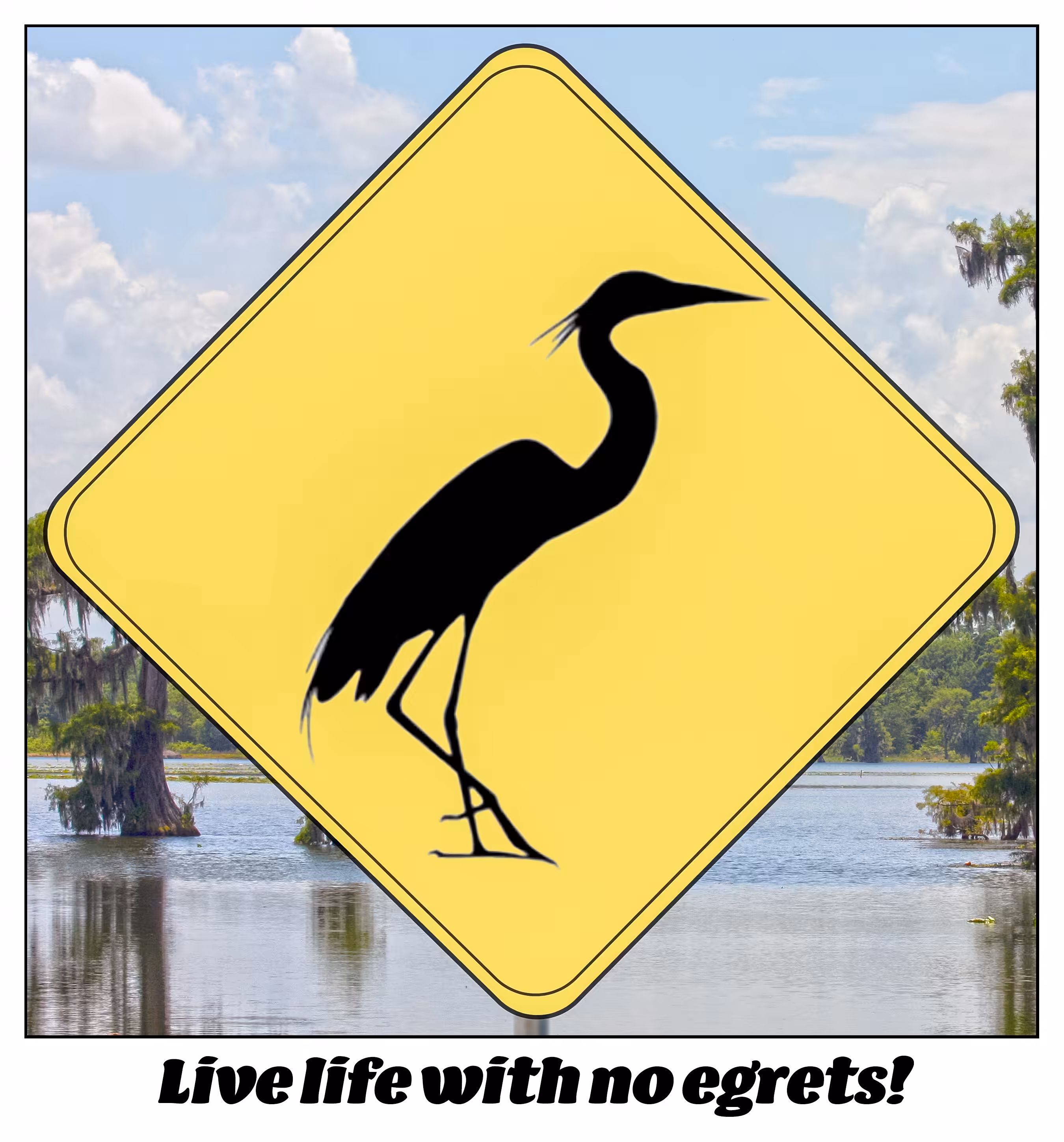 Egret Crossing