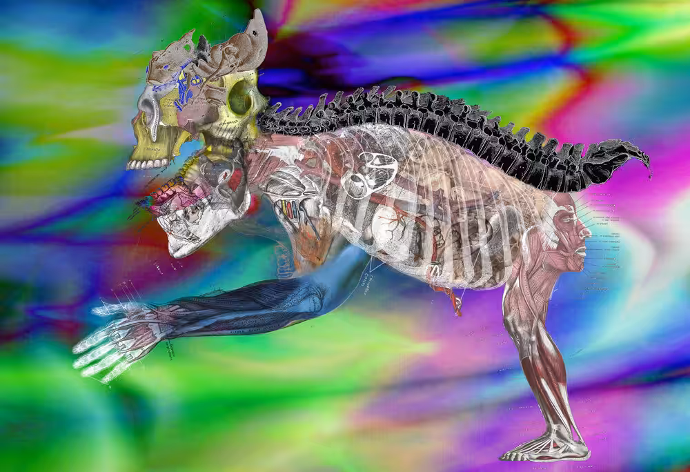 Animal_3