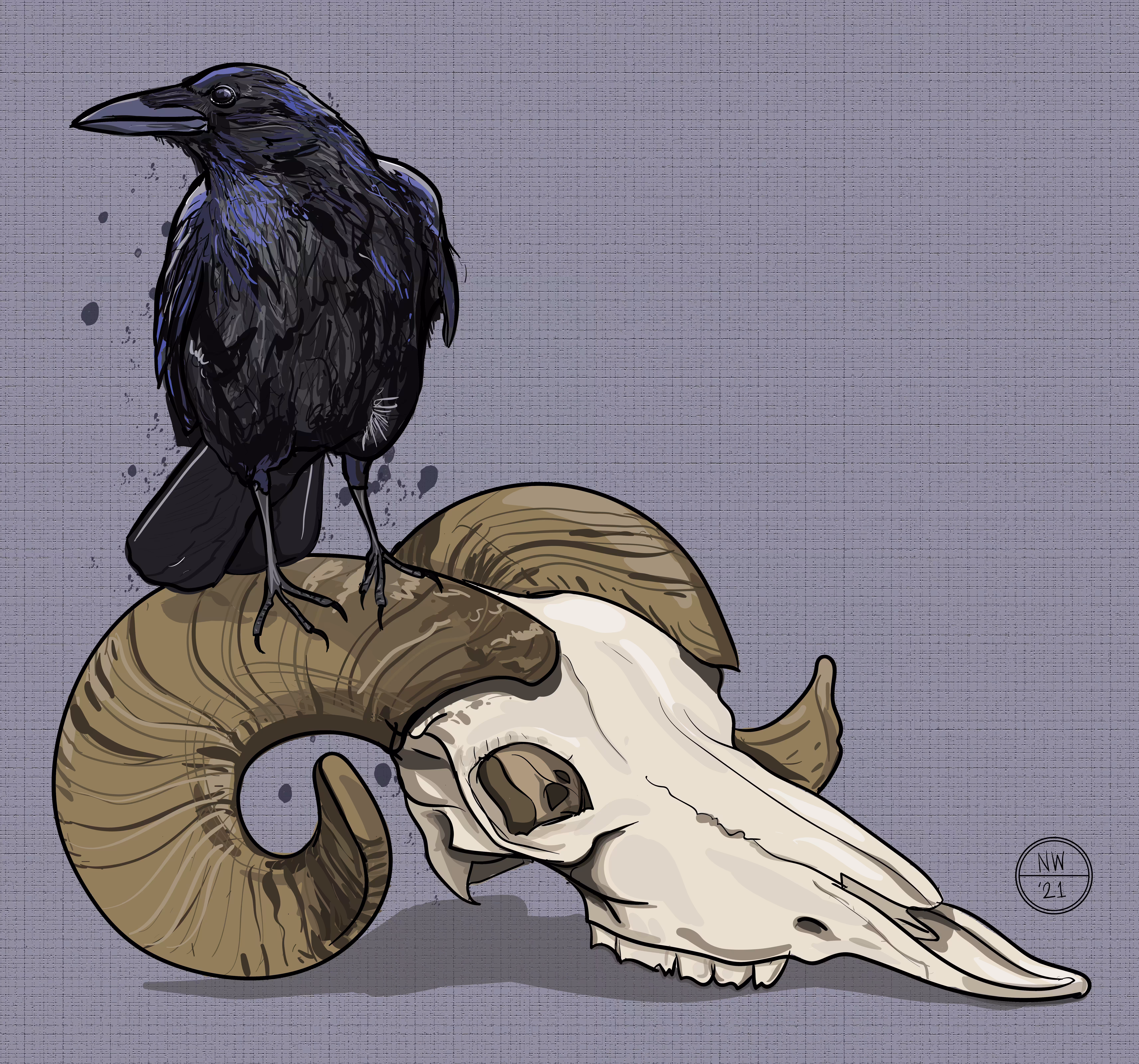 The Other Side of Things