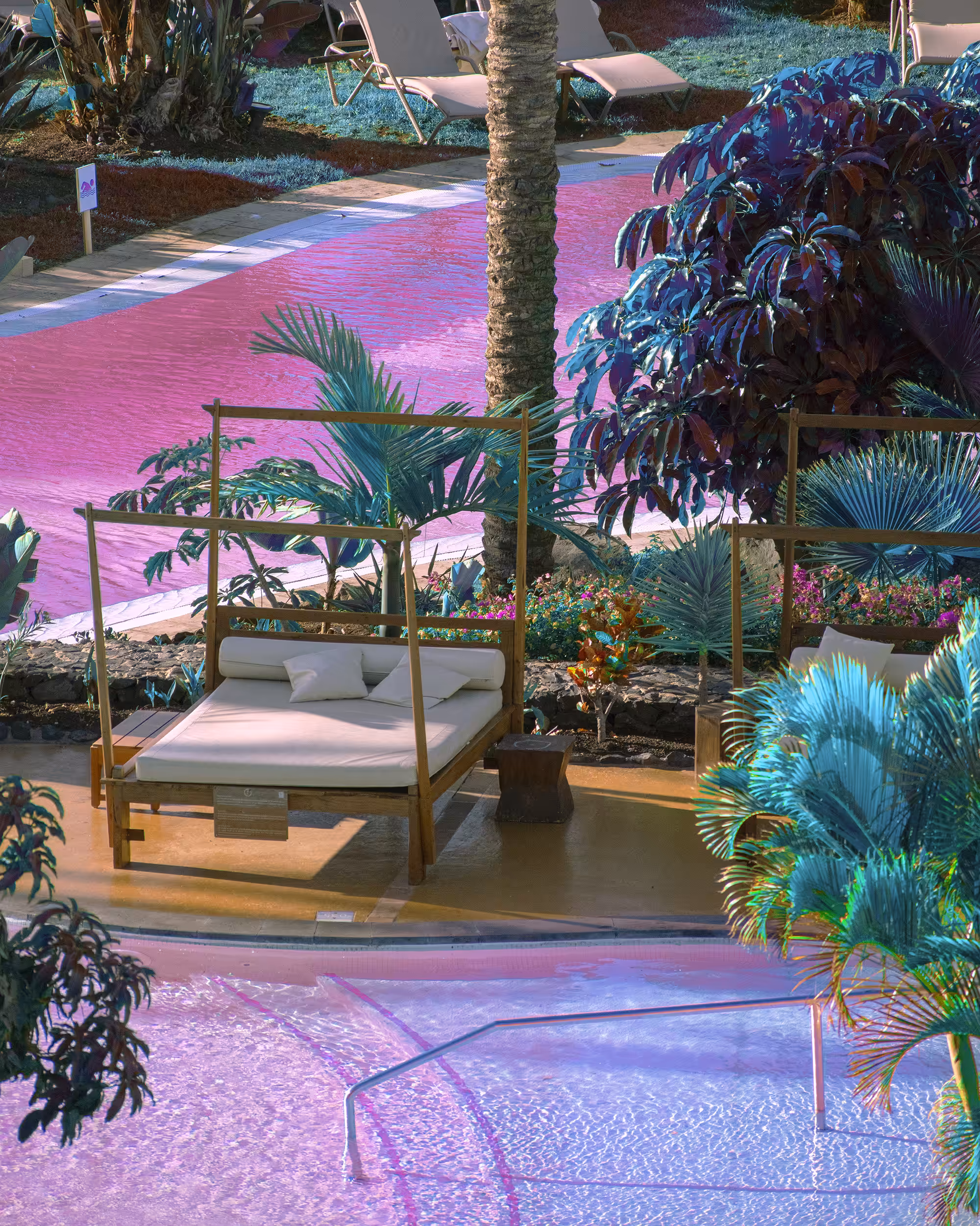 Virtual Paradise