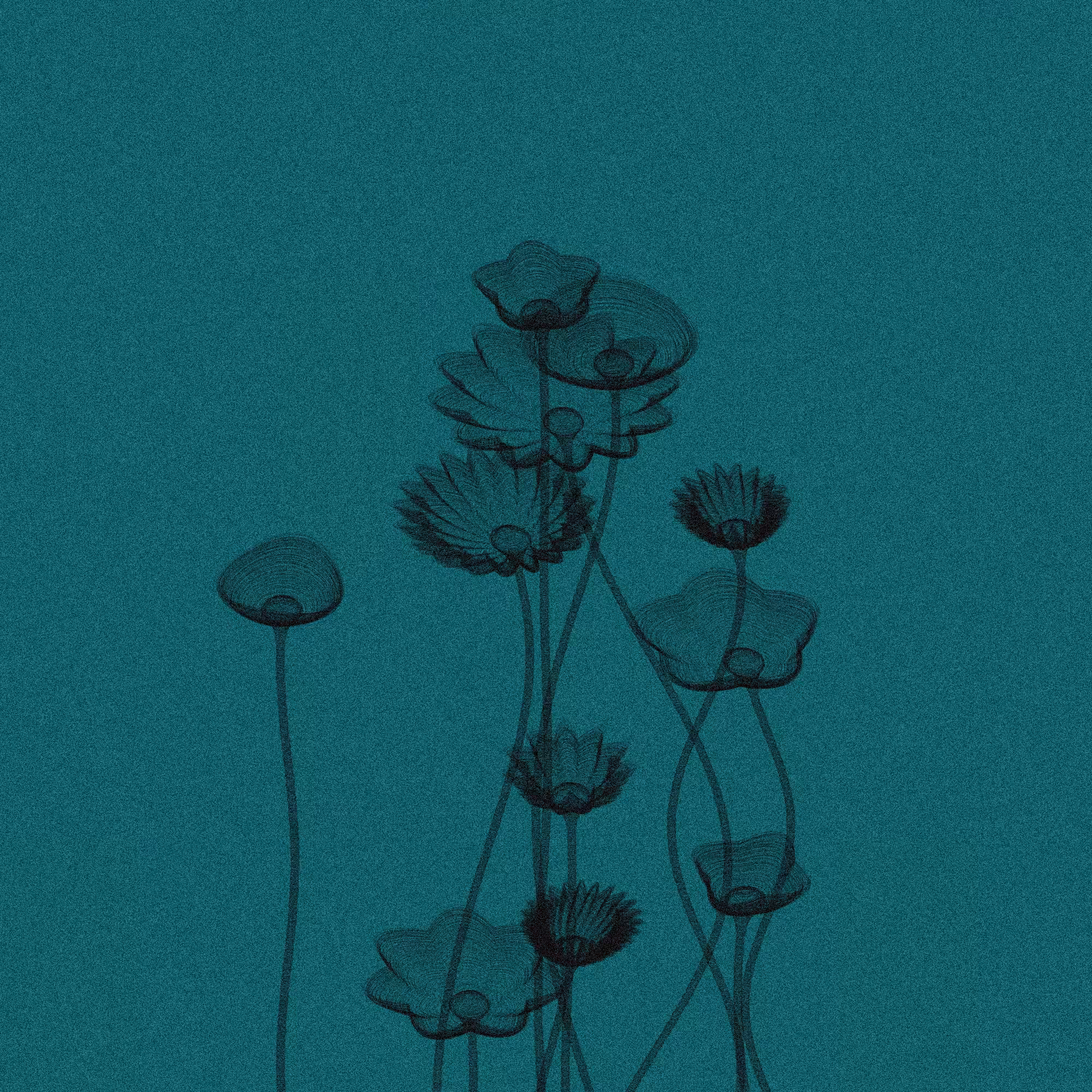 Code Flowers #88