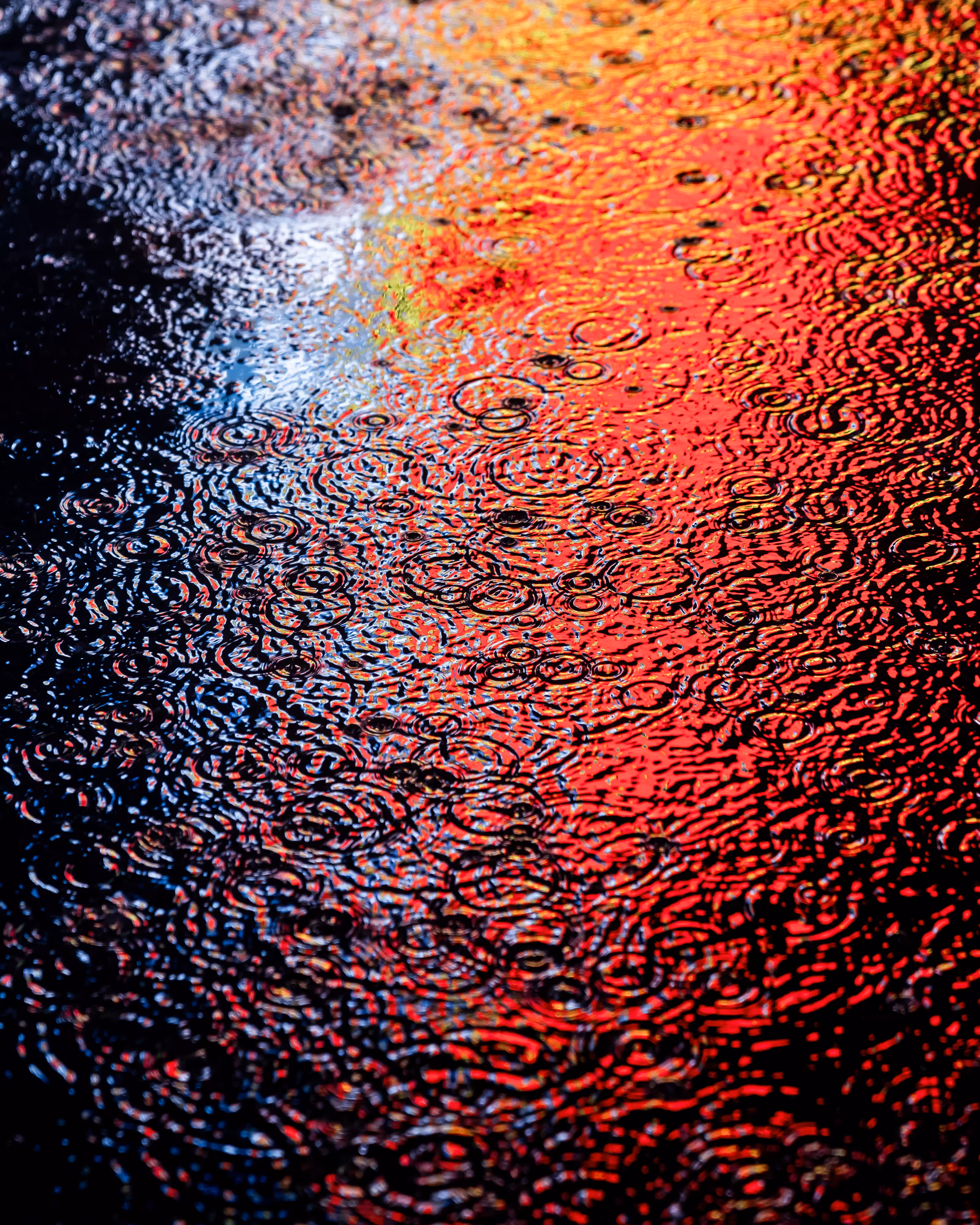 DRIP DROP: DRIP #898