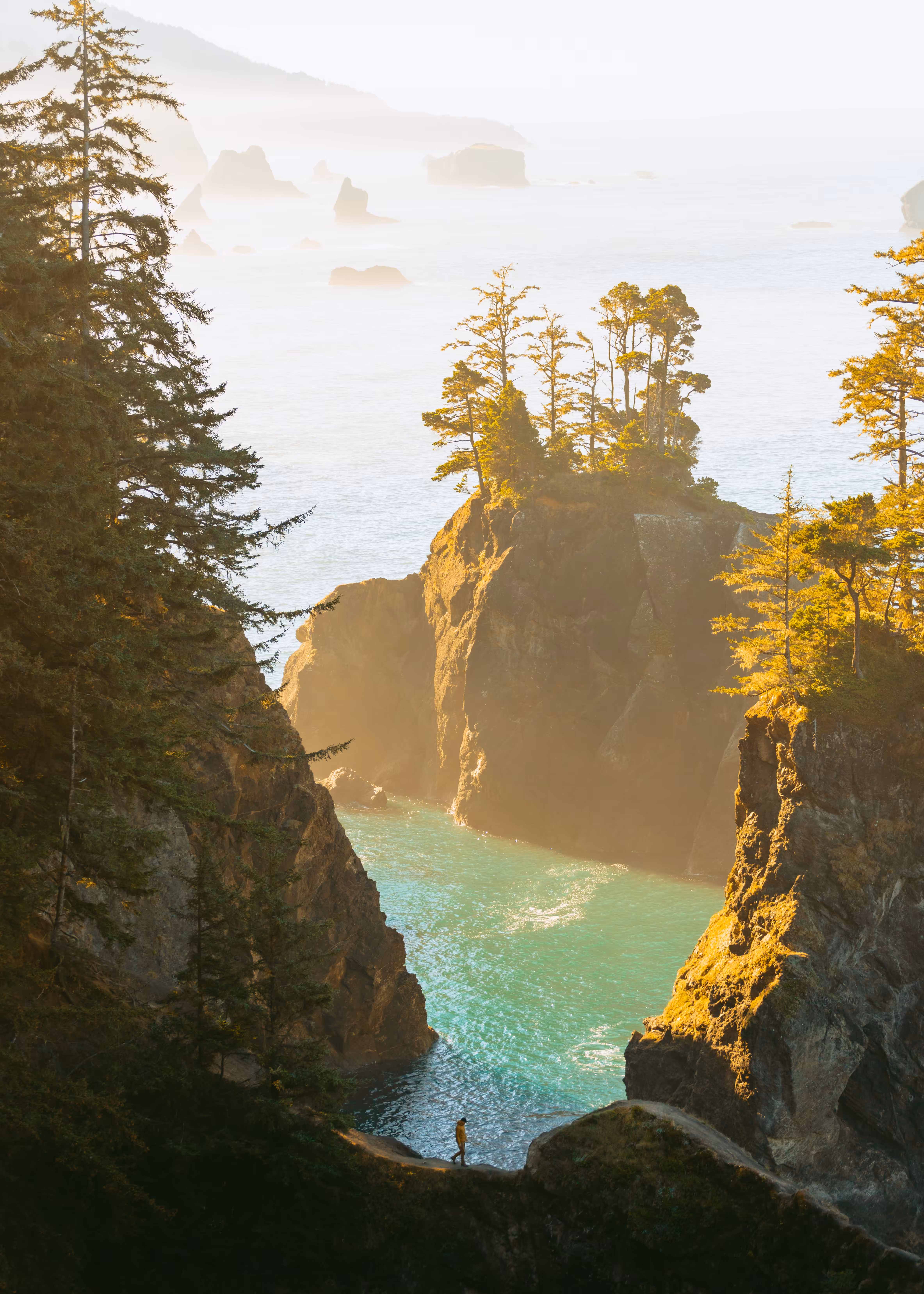 Coastal Exploration