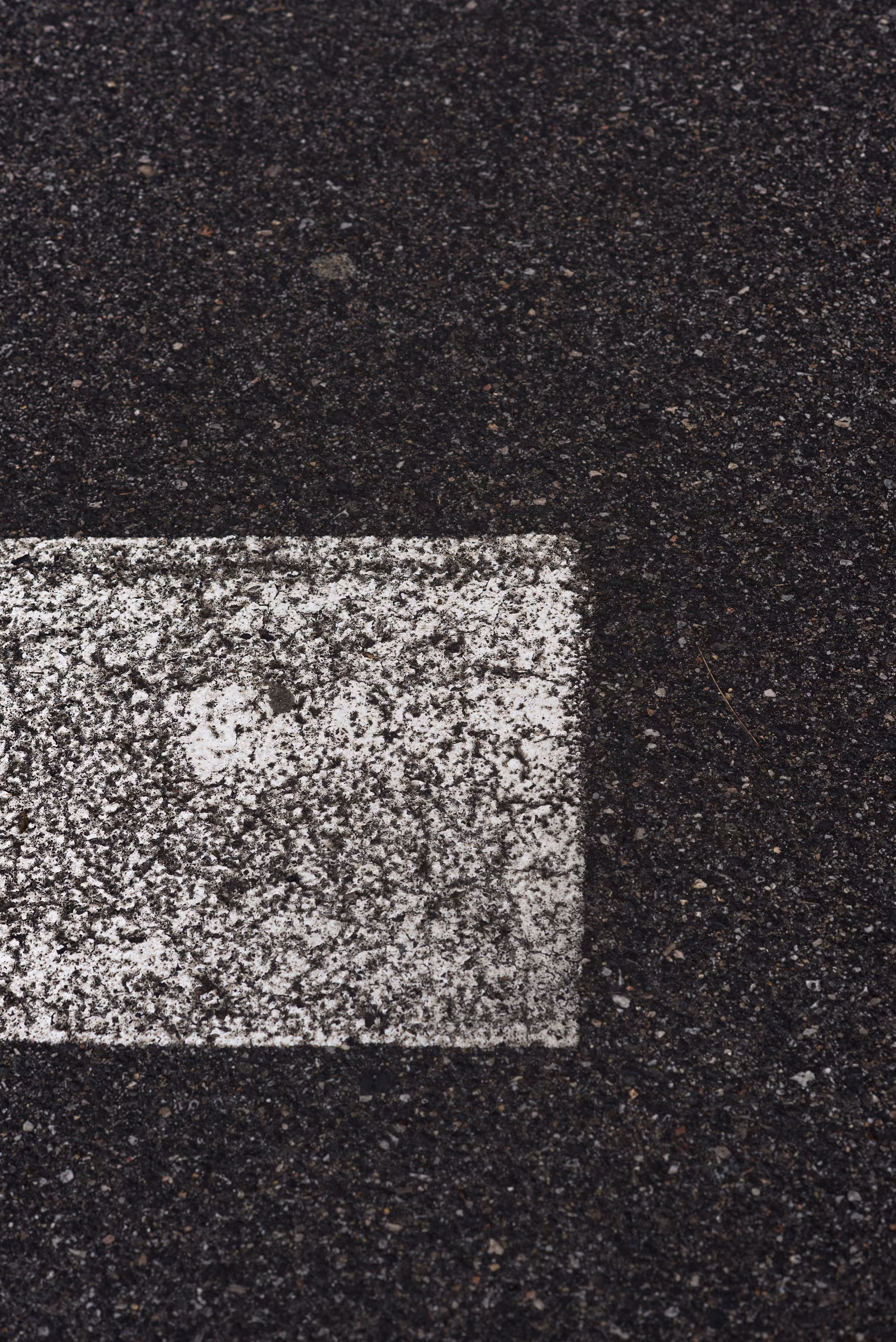 Asphalt Dreams
