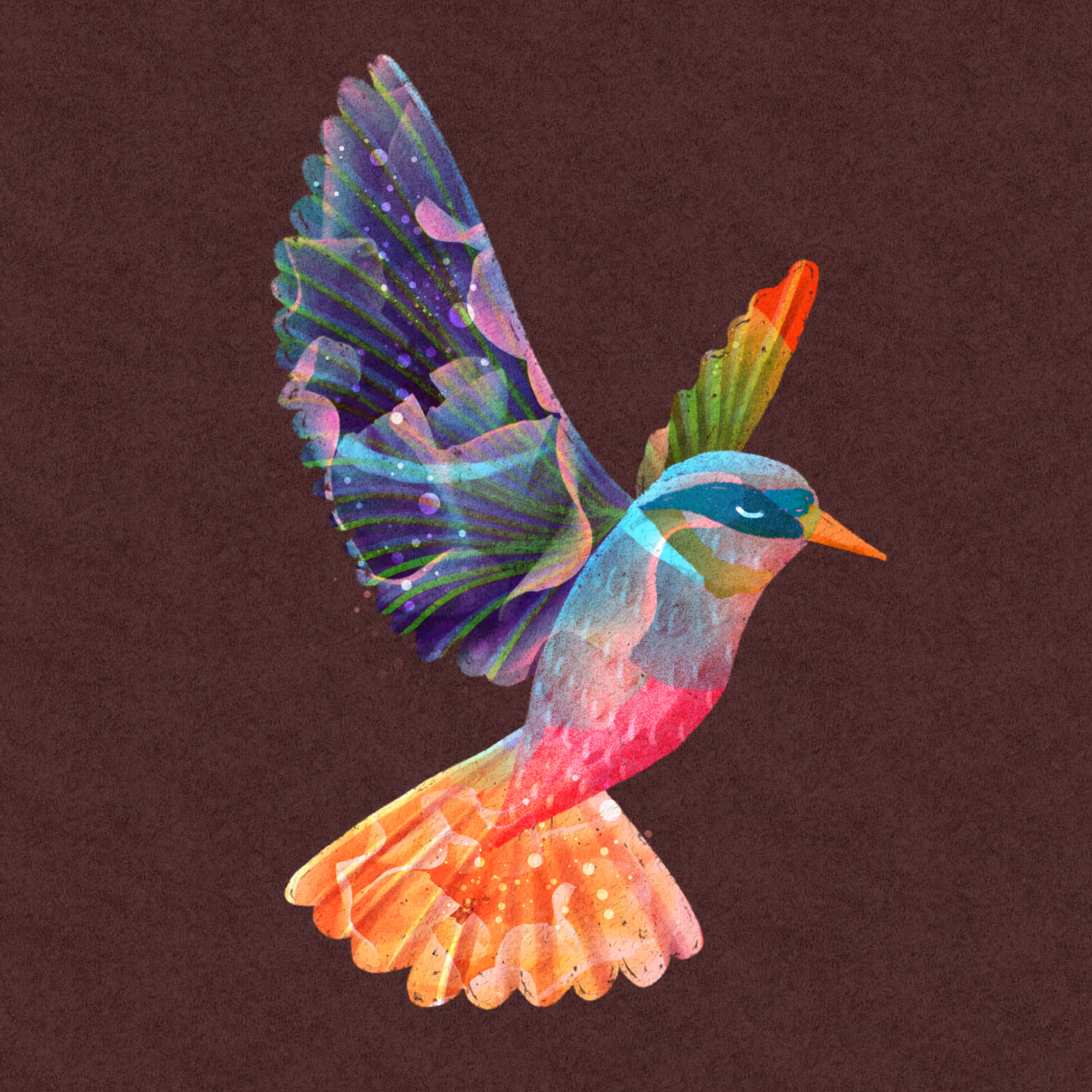 The Hummingbird