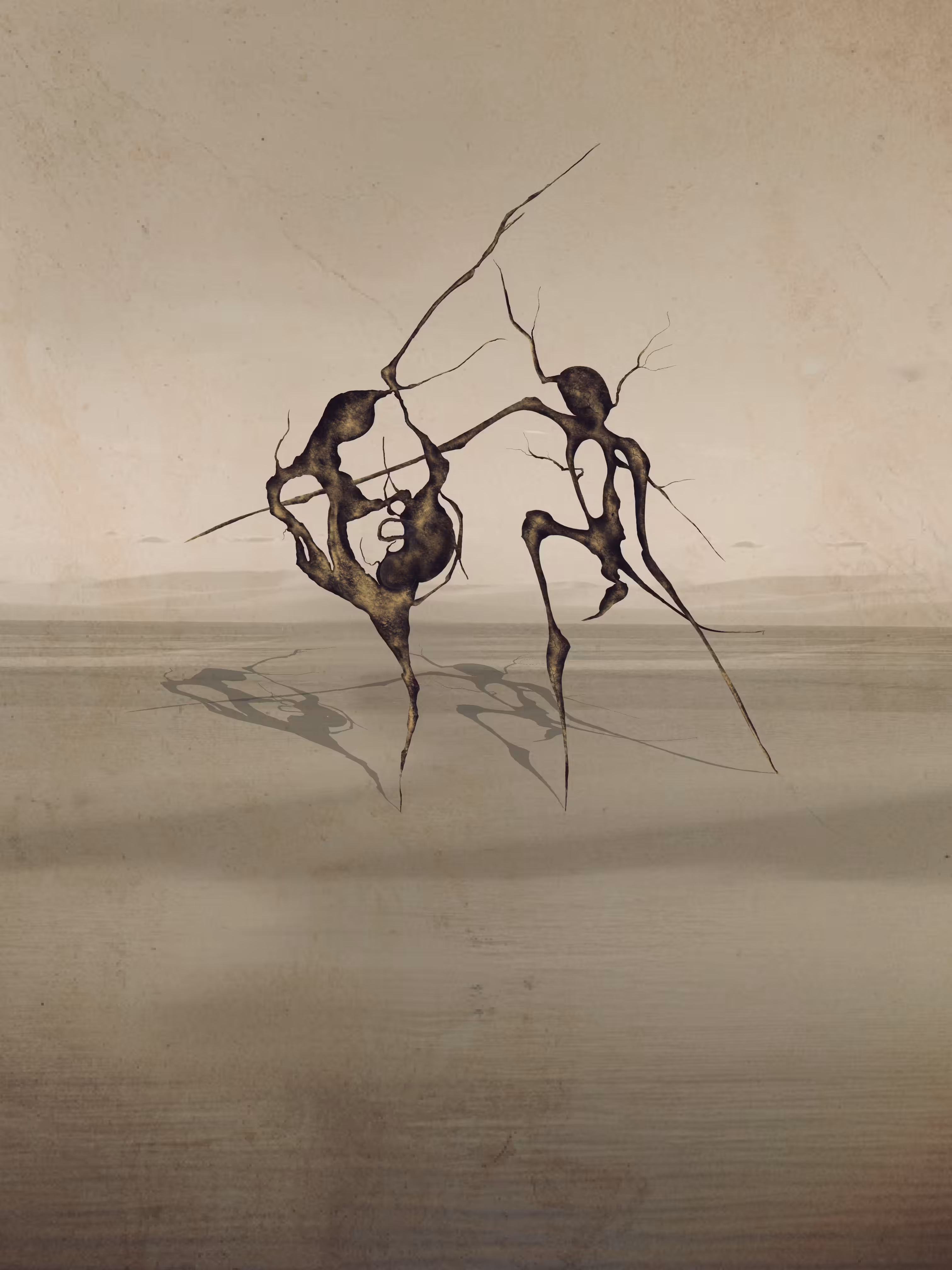 metamorphosis