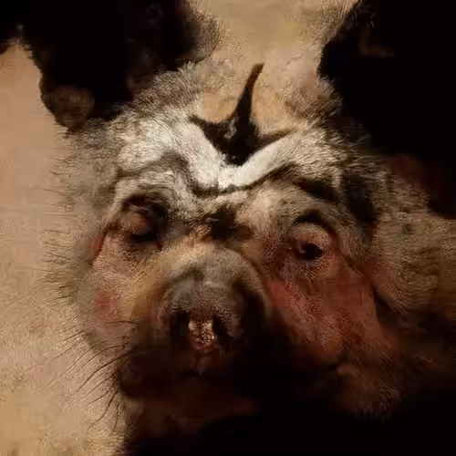 Hellhounds n Friends: #66