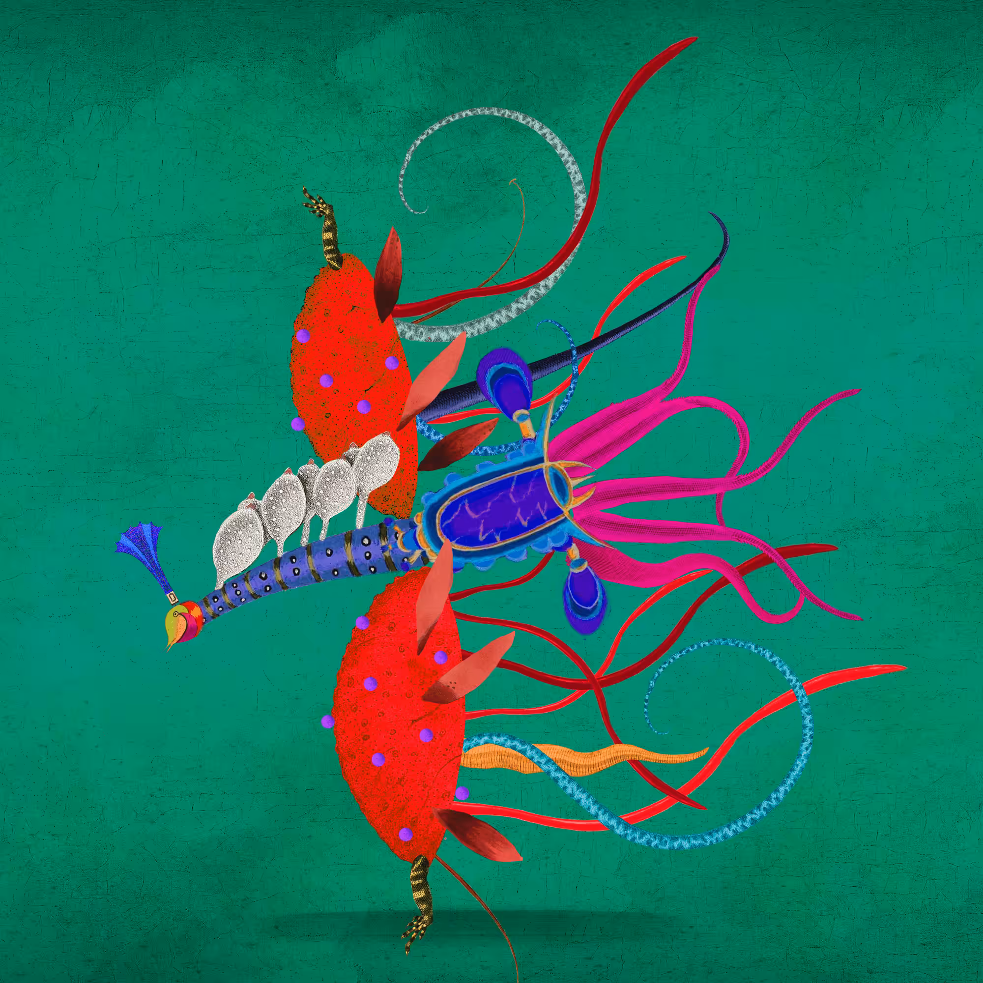 Impossible Creature #204