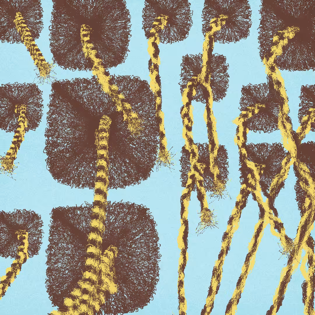 Beauty Supply Is Out of Du-Rags: A Personal Synthesis of Protection and Timeless Style #269
