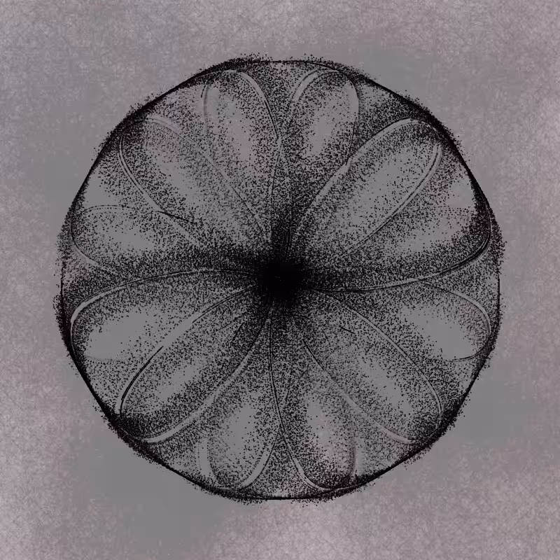 polar thread n.08 #23