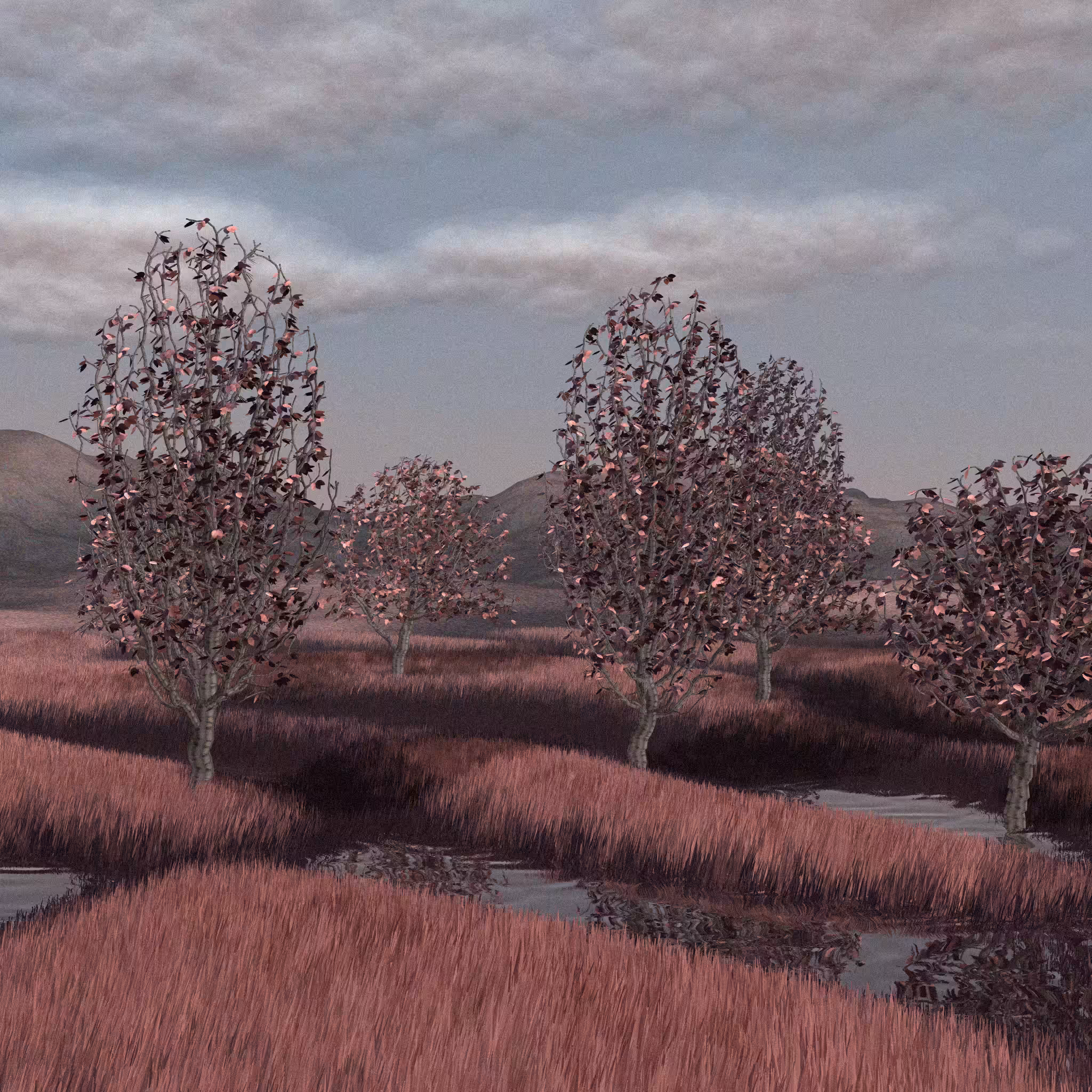 Landscapes out of my mind #116