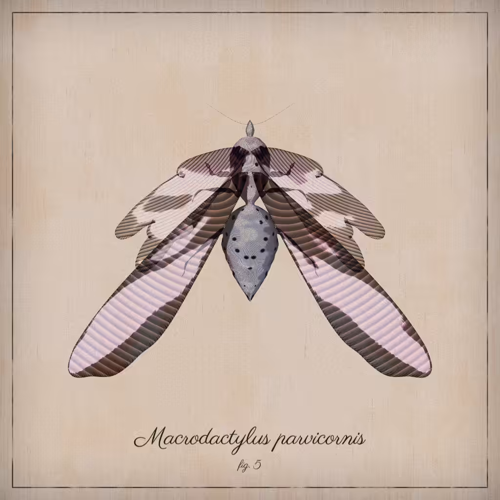 ProcGen Entomology #366