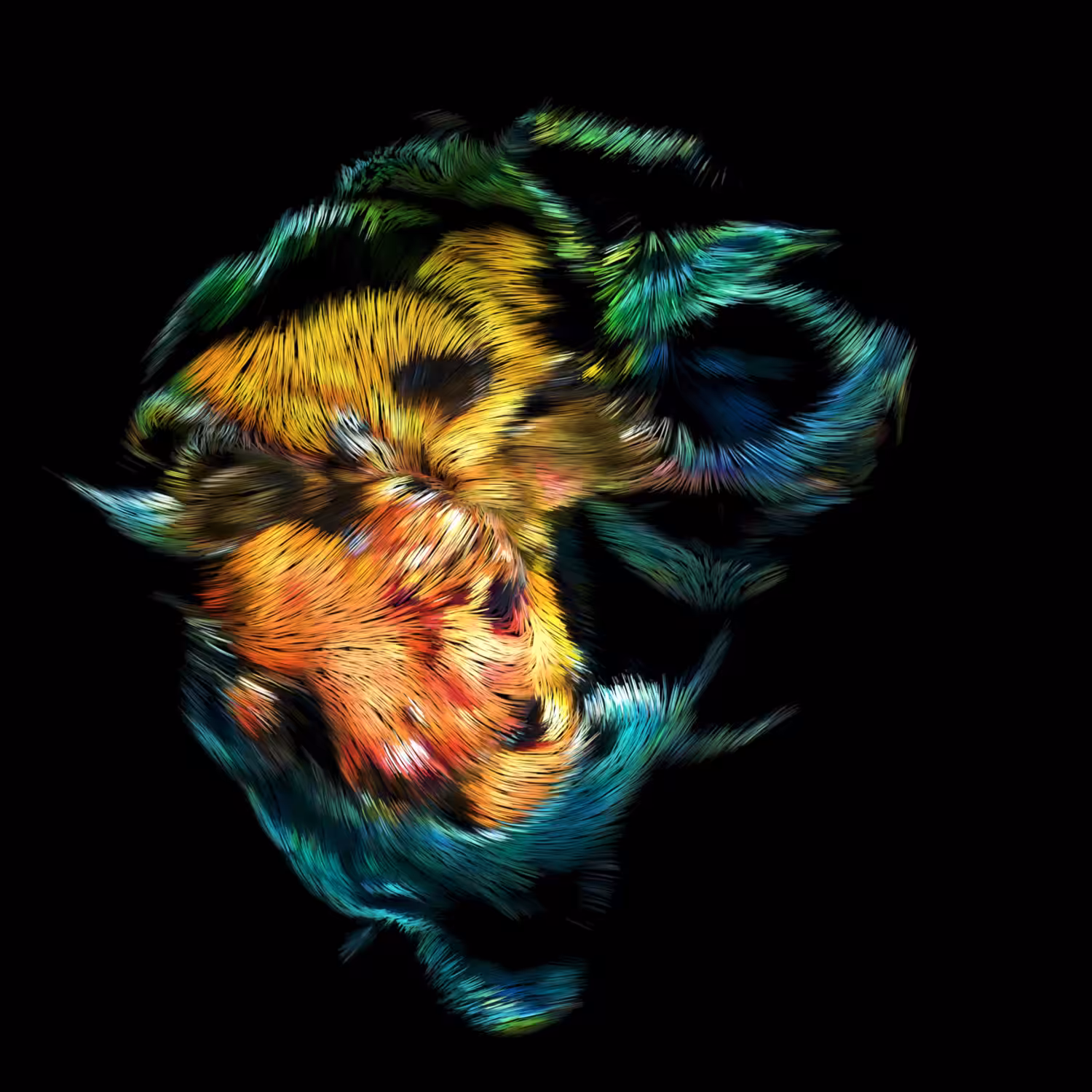 Holobiont III