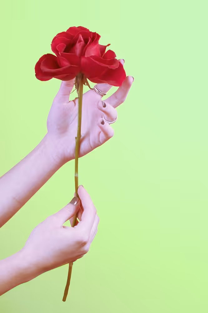 Cyber rose