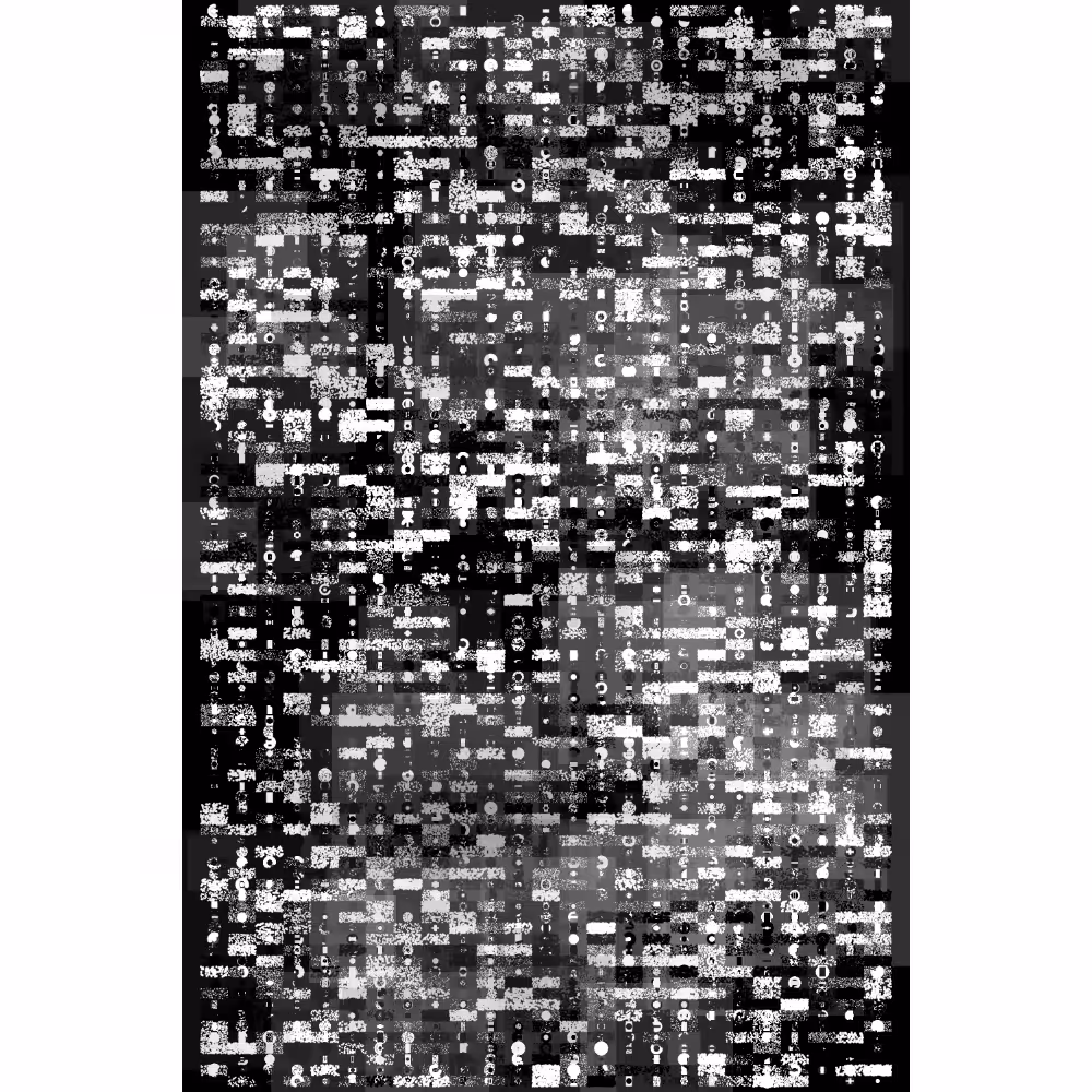 Etude B&W #350