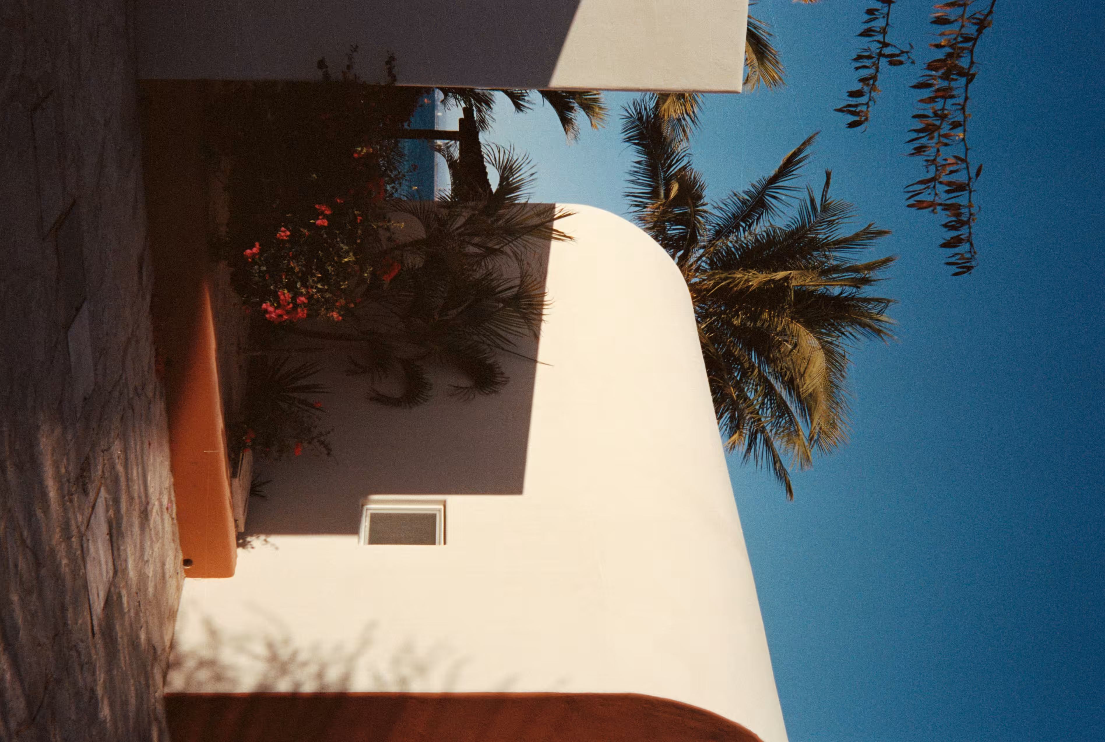 analog #4