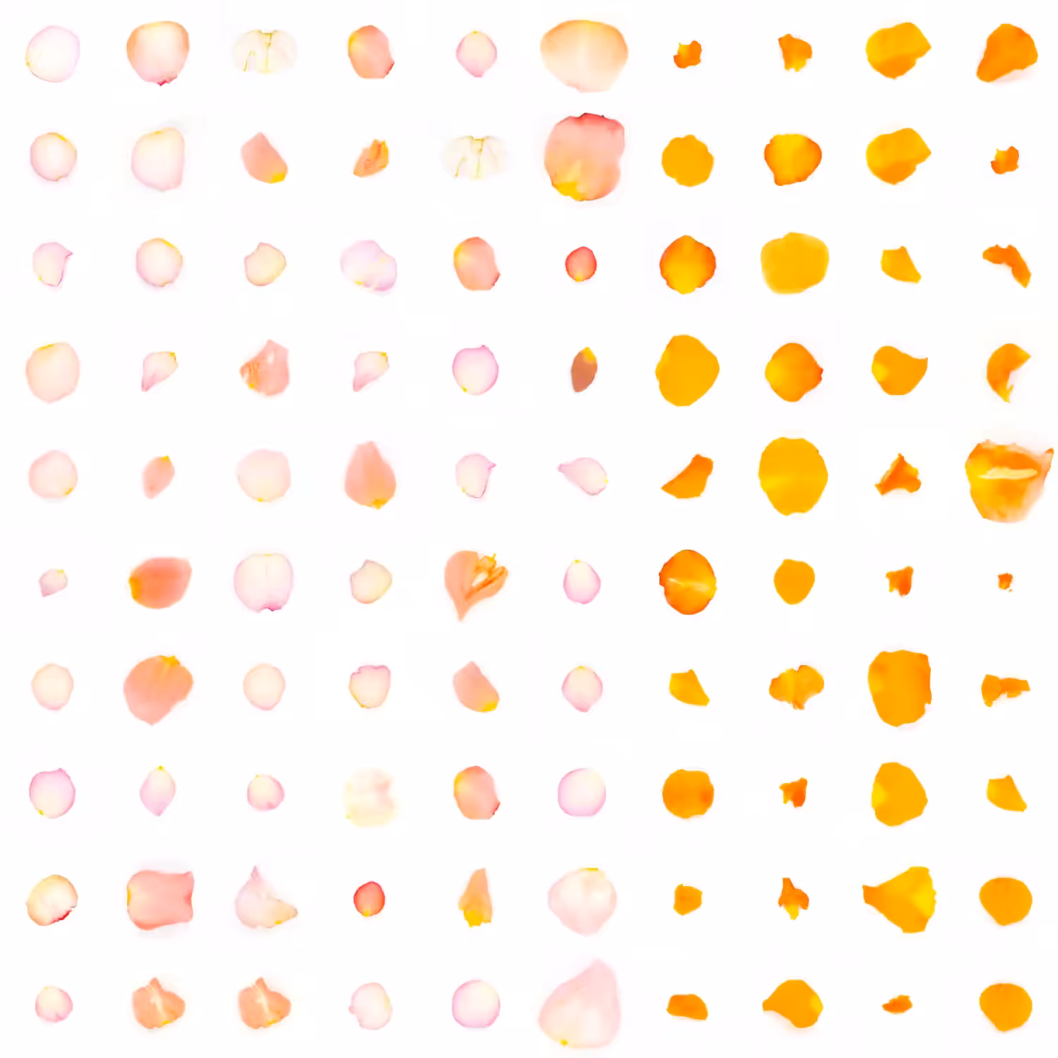 Infinite Petals 10x10#1281