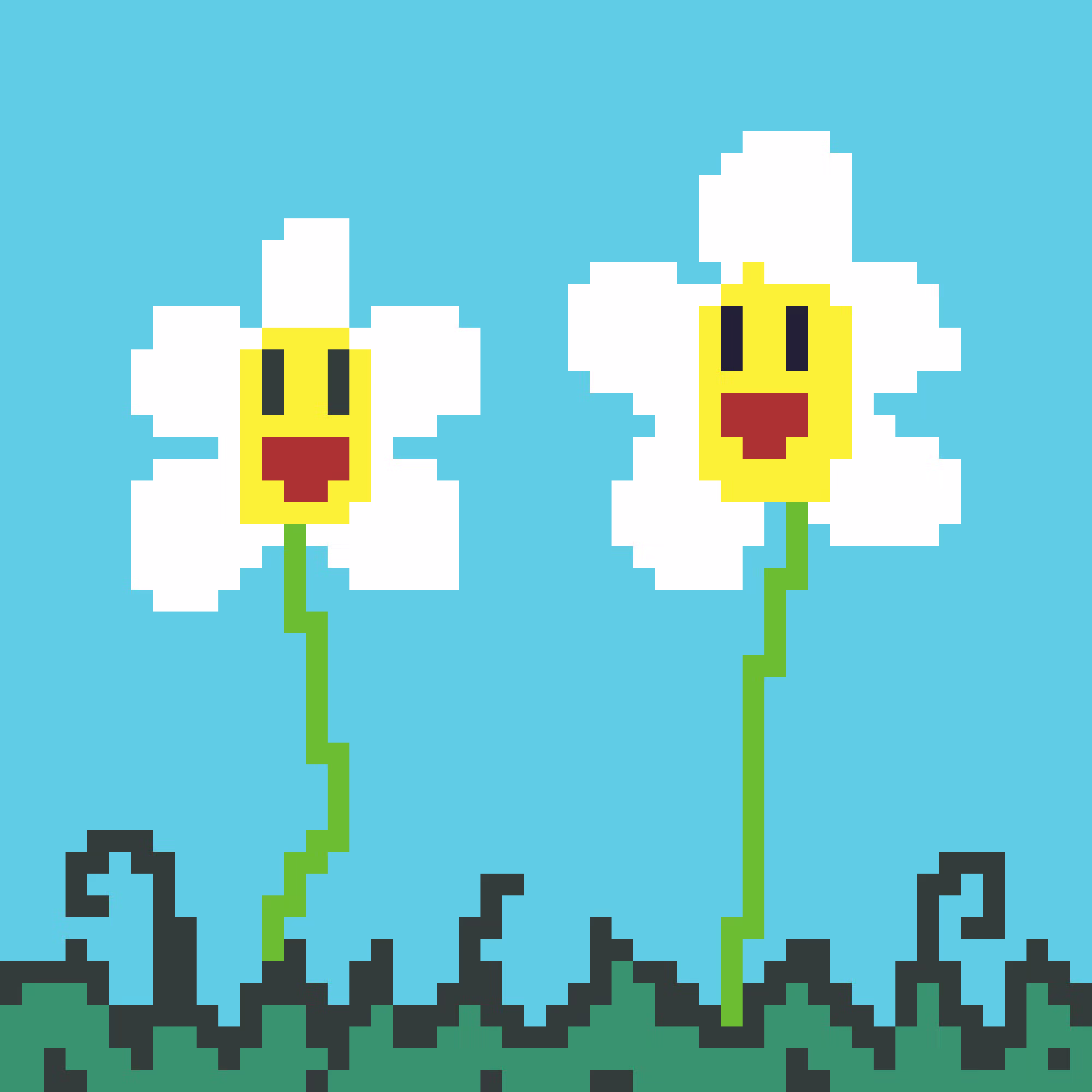 Two happy flowers