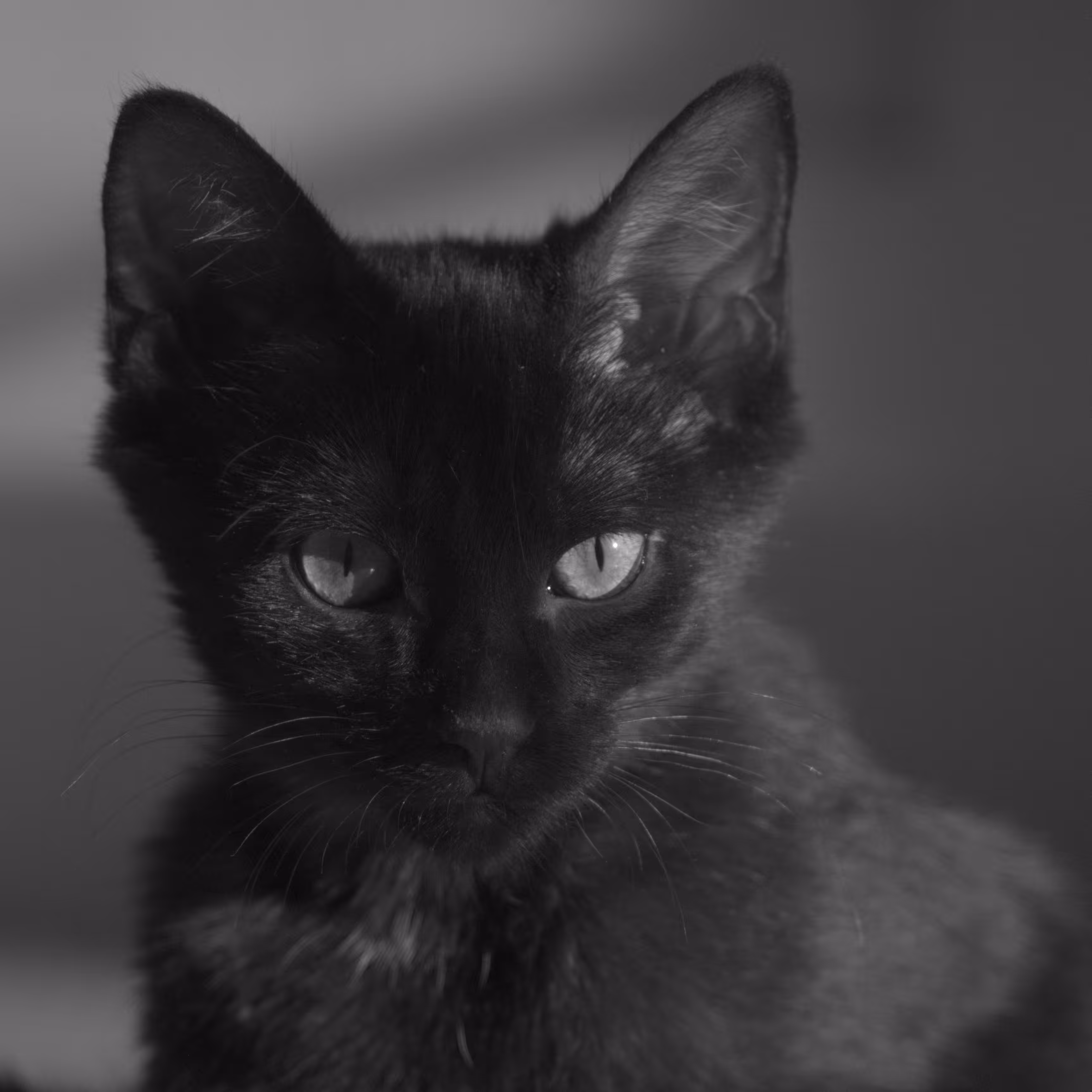 SQR/0002