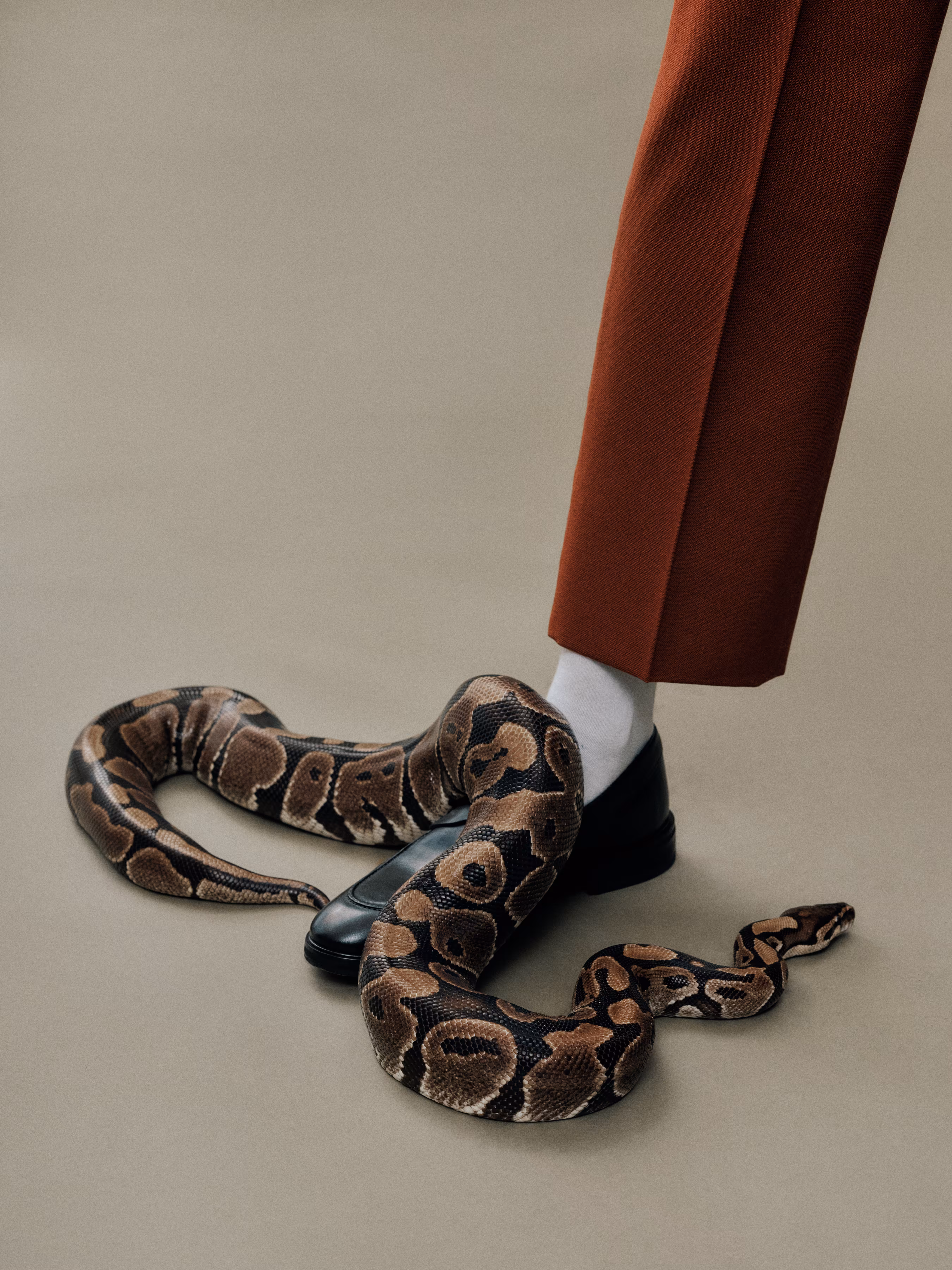 The Serpent