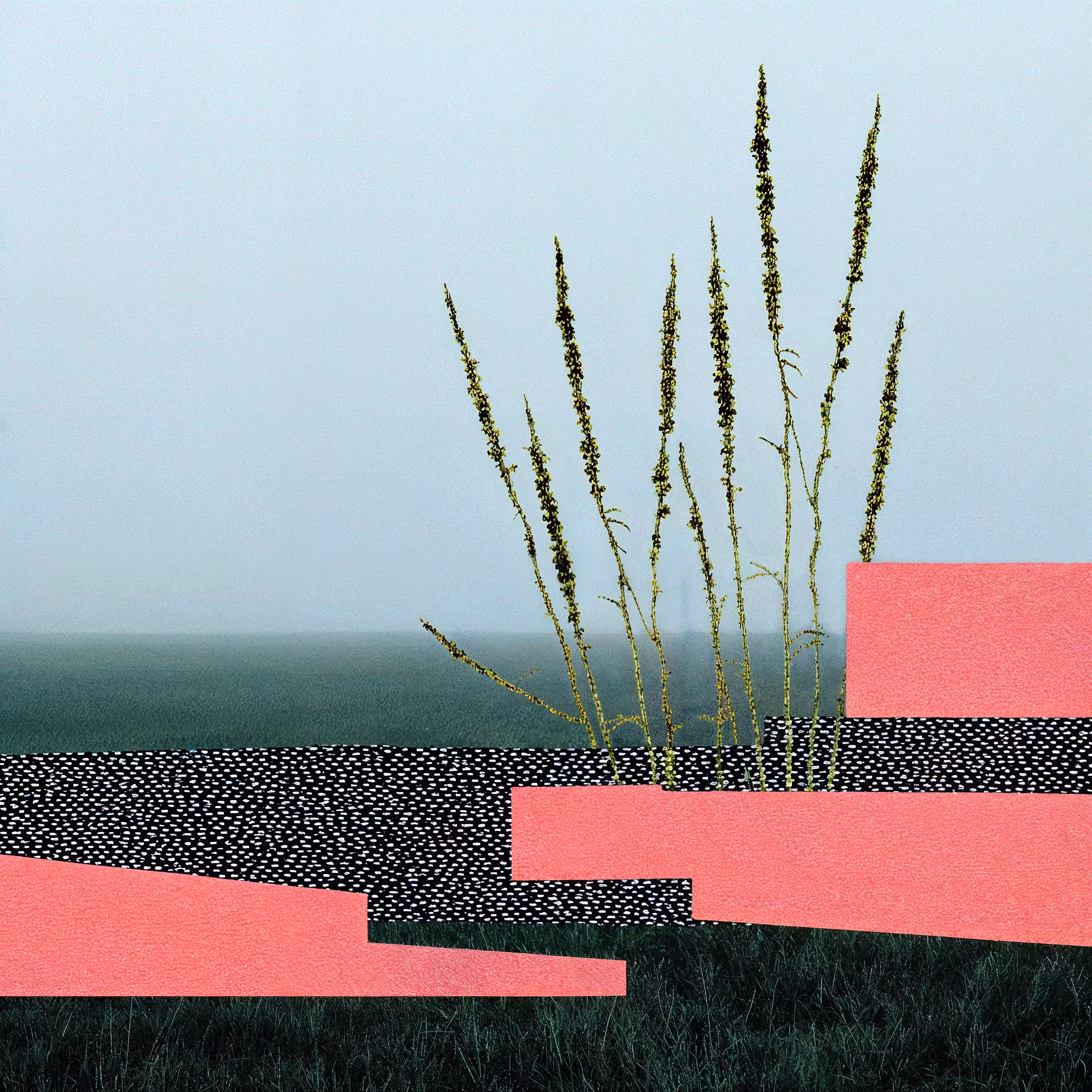 Untouchable (Grass) 35
