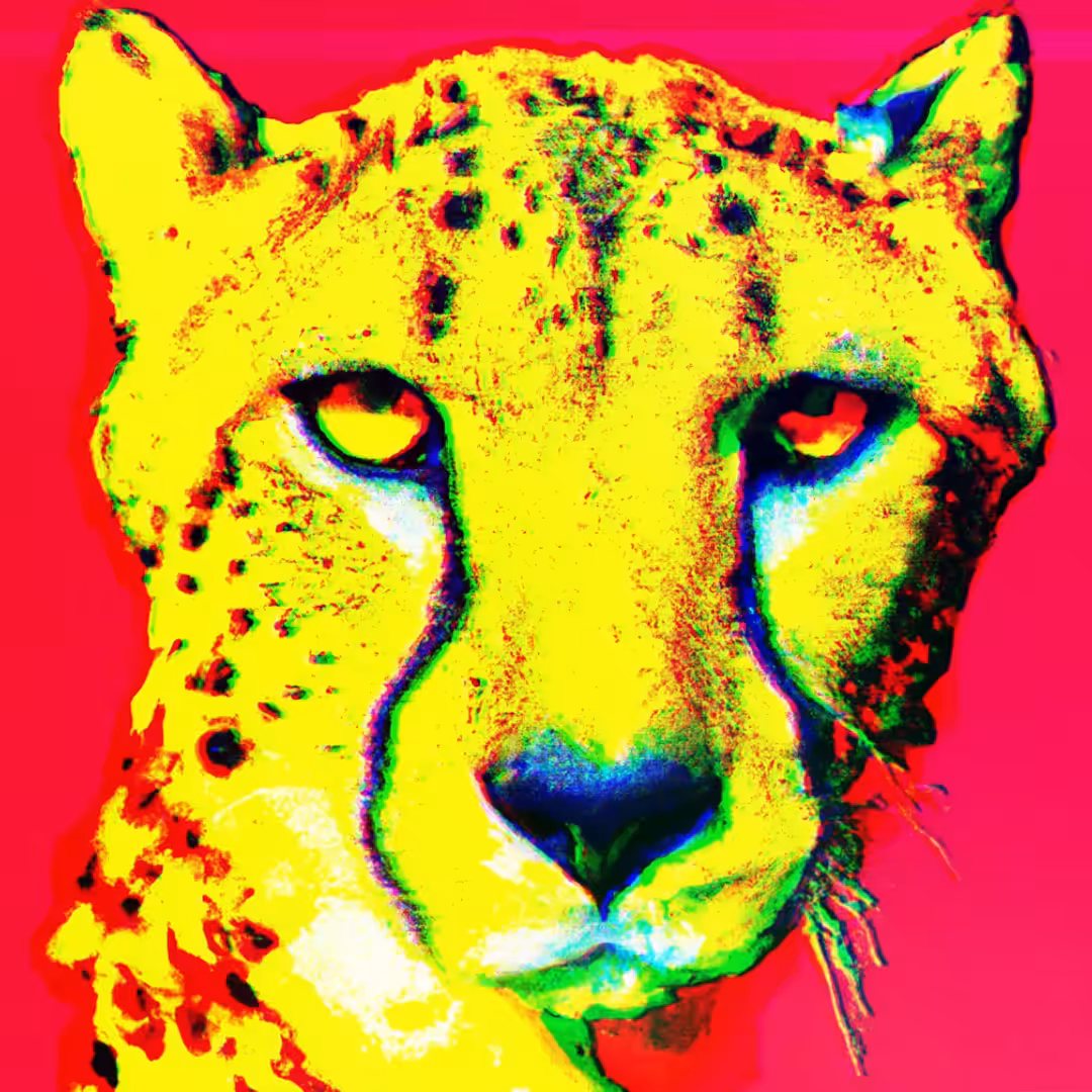 CHEETAH - SA#007