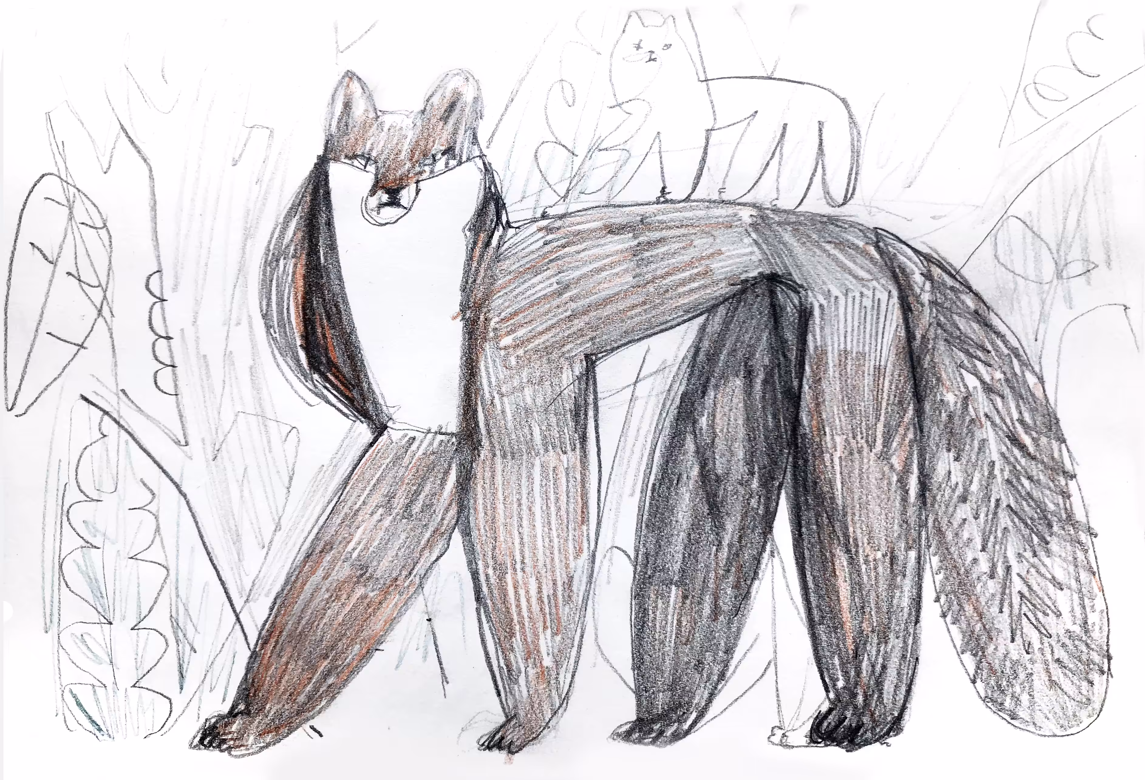 Sketch of a Family 