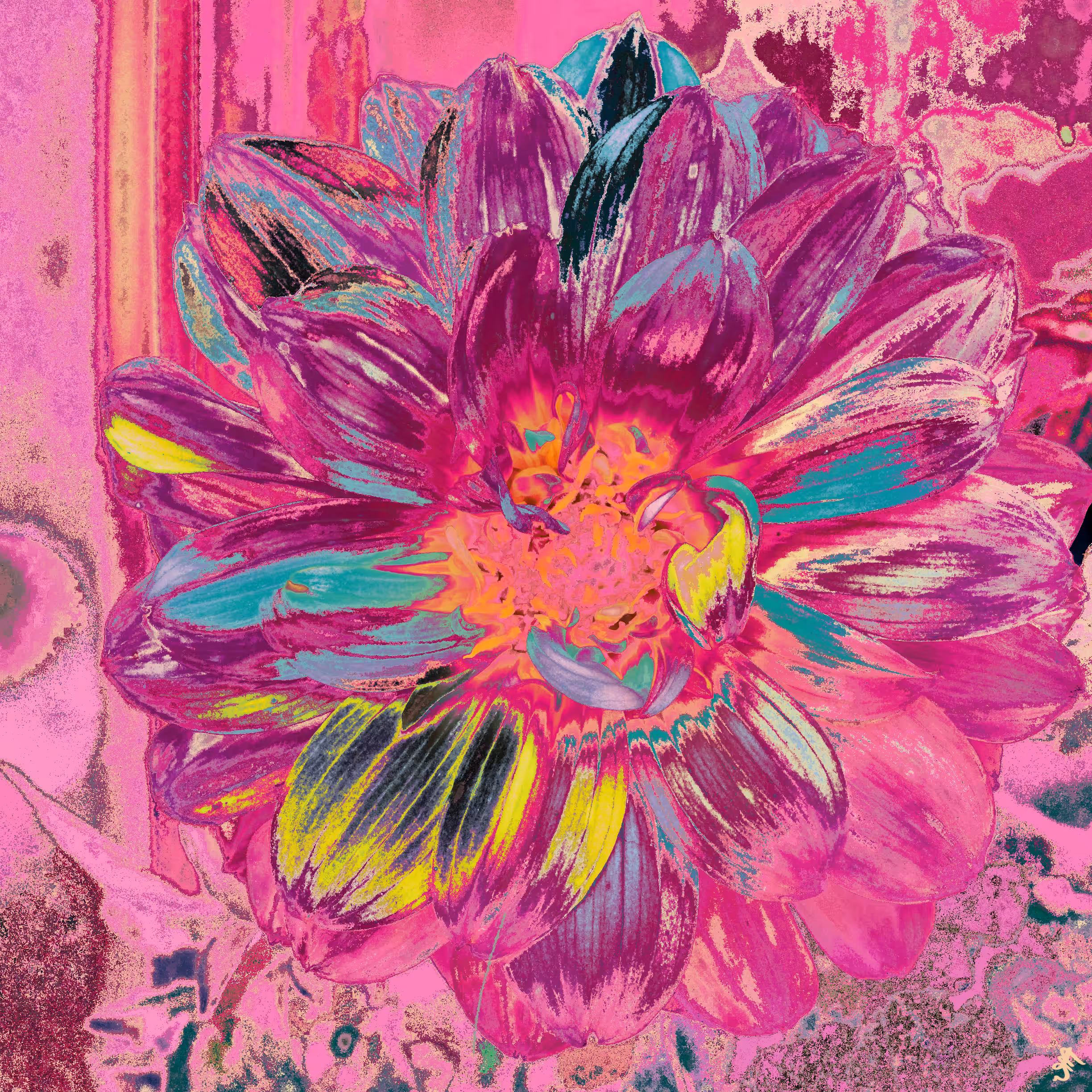 Her Form Was Petal, Her Self Was Hue